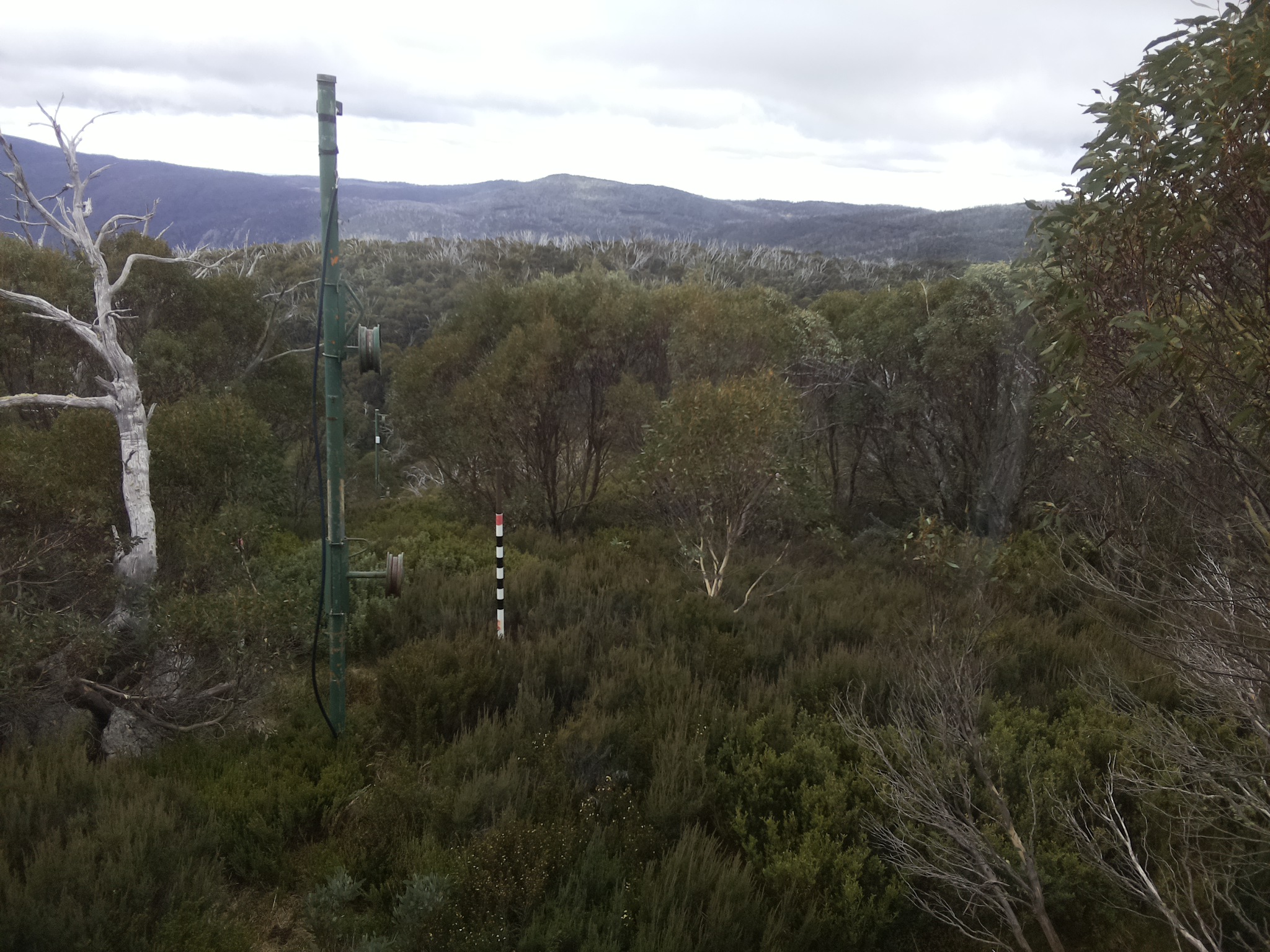 Bogong Web Cam 11:20am Tuesday 6th of May 2025