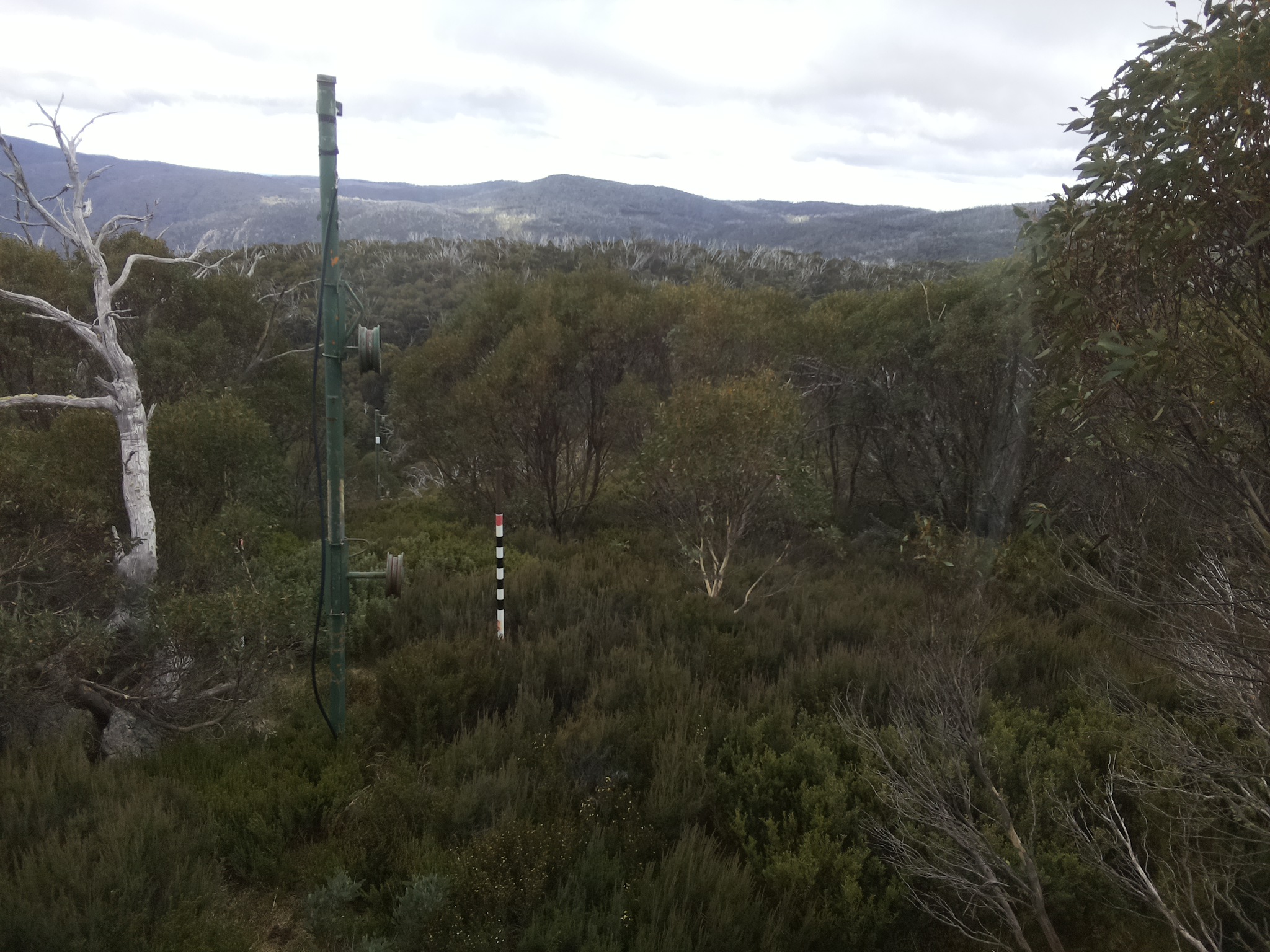 Bogong Web Cam 11:30am Tuesday 6th of May 2025