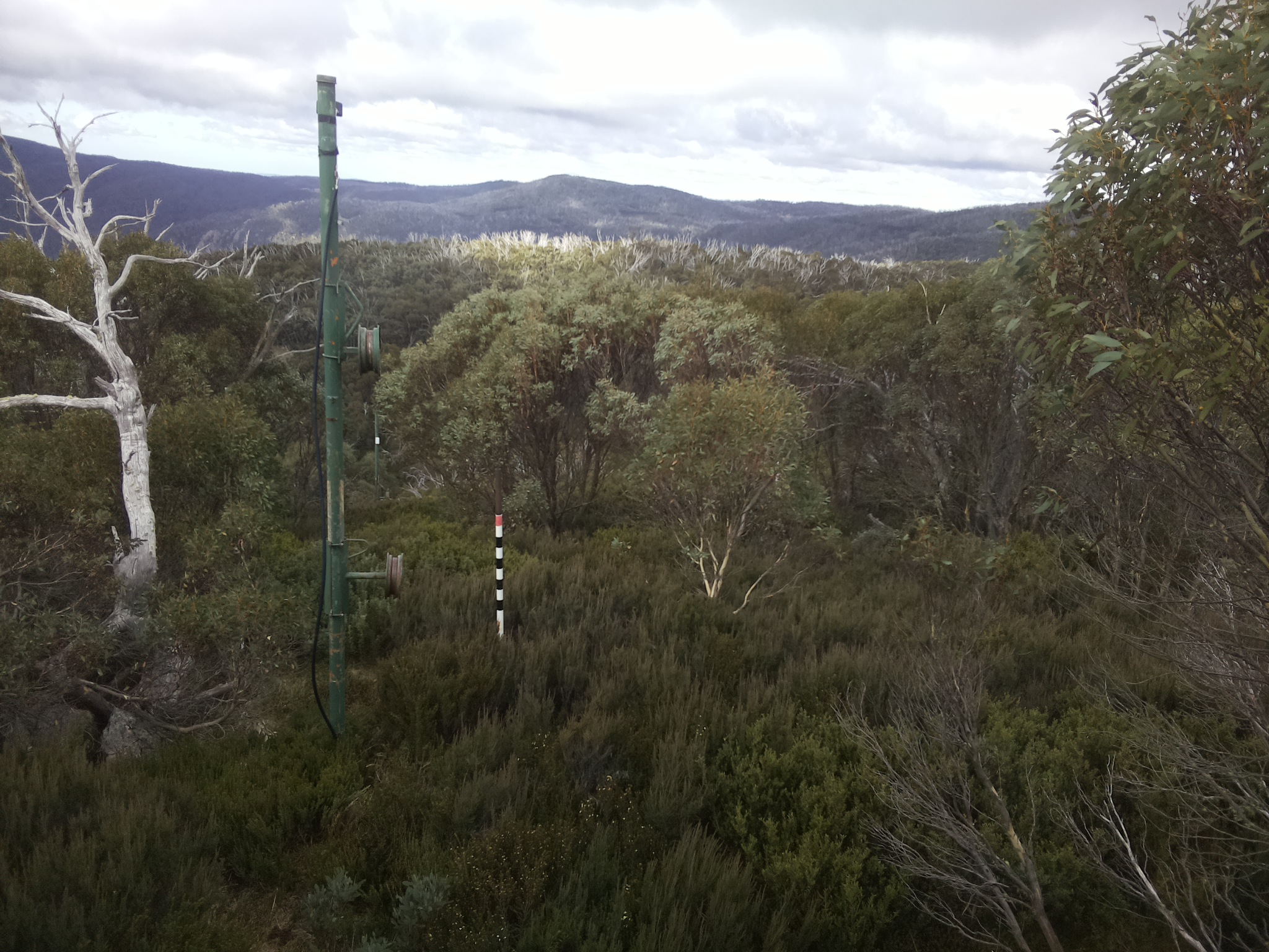 Bogong Web Cam 11:40am Tuesday 6th of May 2025