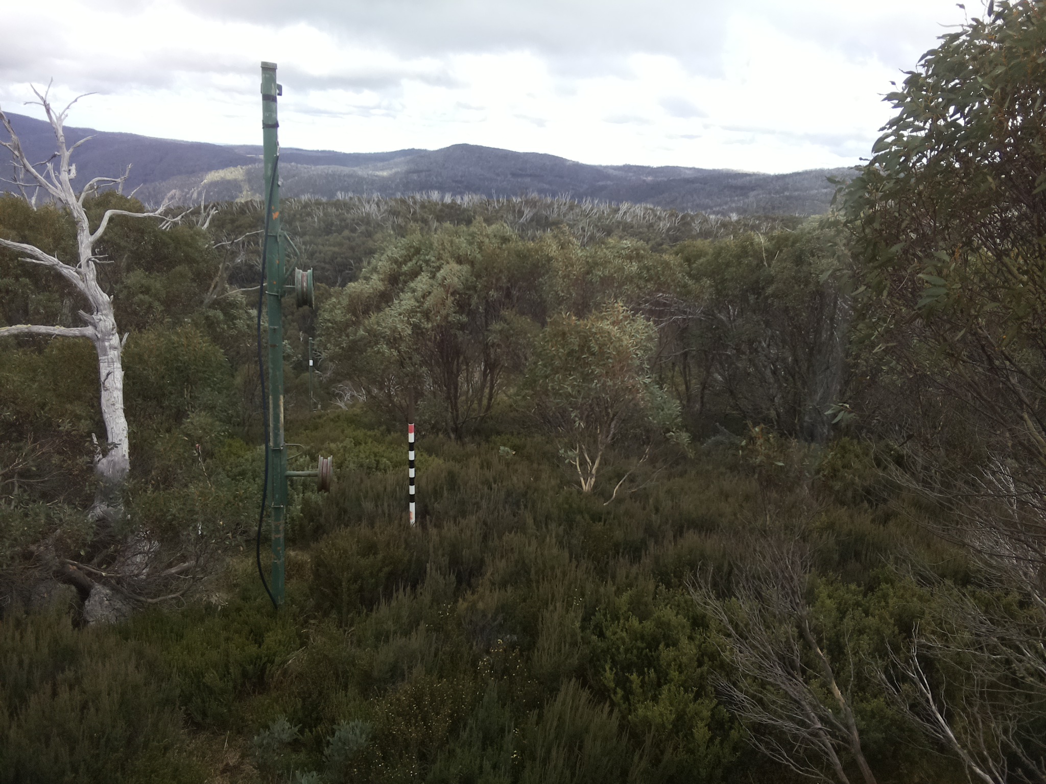 Bogong Web Cam 11:50am Tuesday 6th of May 2025
