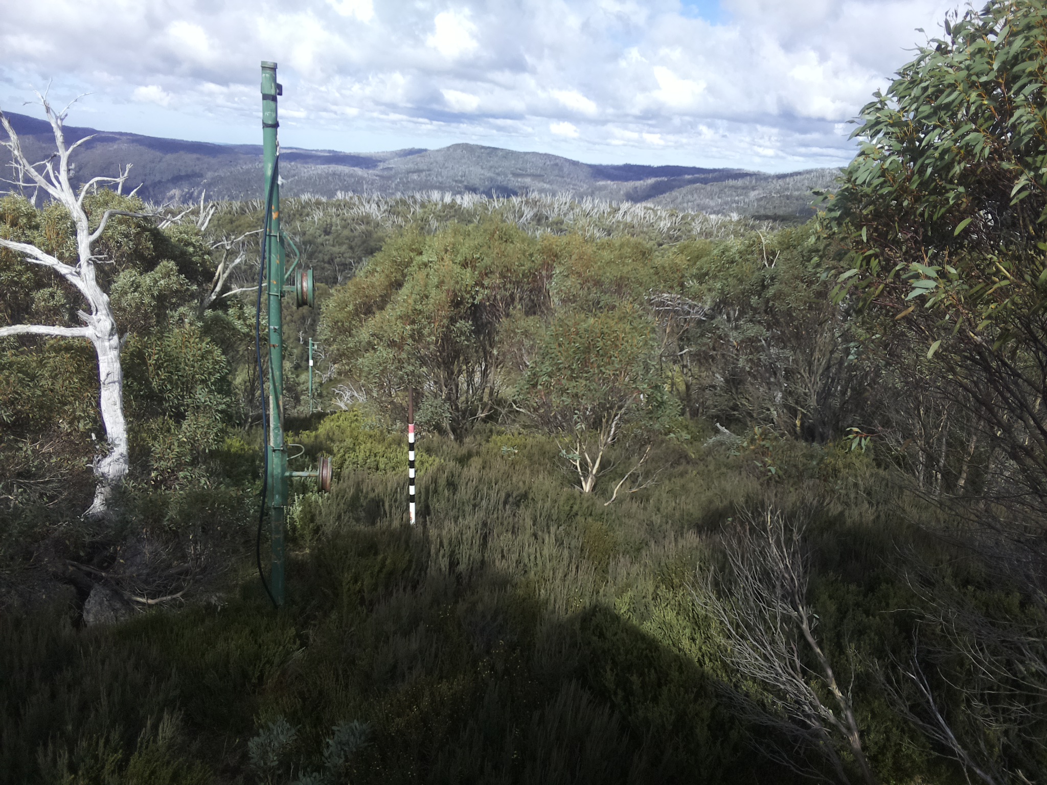 Bogong Web Cam 12:40pm Tuesday 6th of May 2025