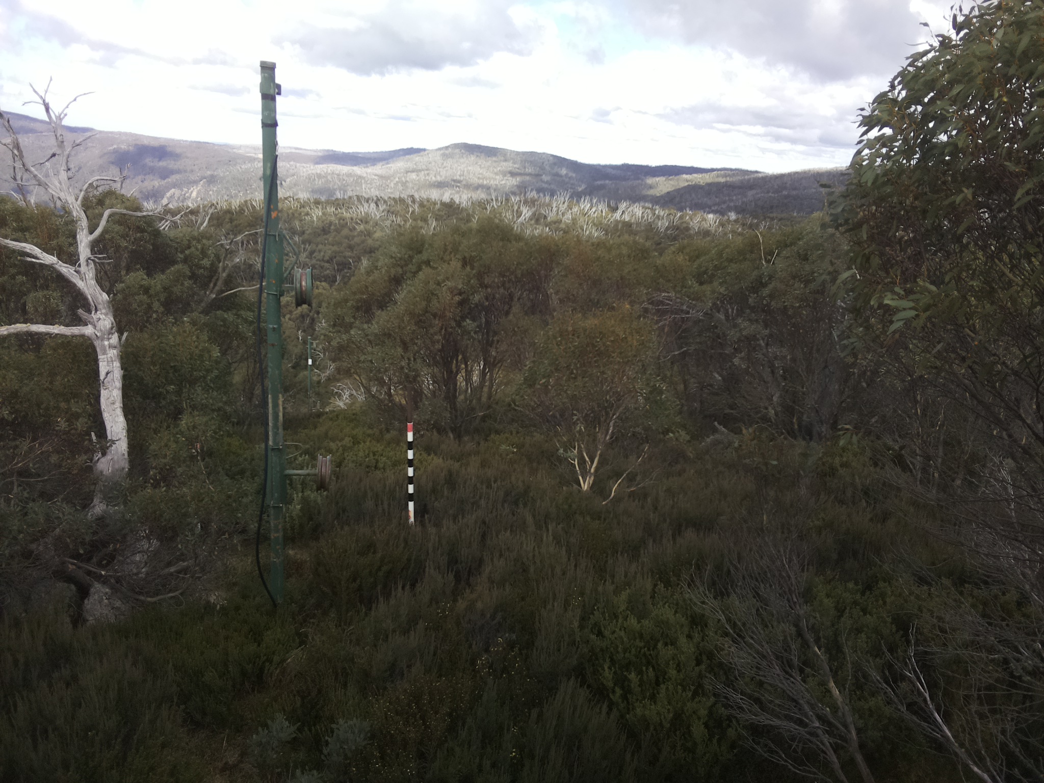 Bogong Web Cam 1:10pm Tuesday 6th of May 2025