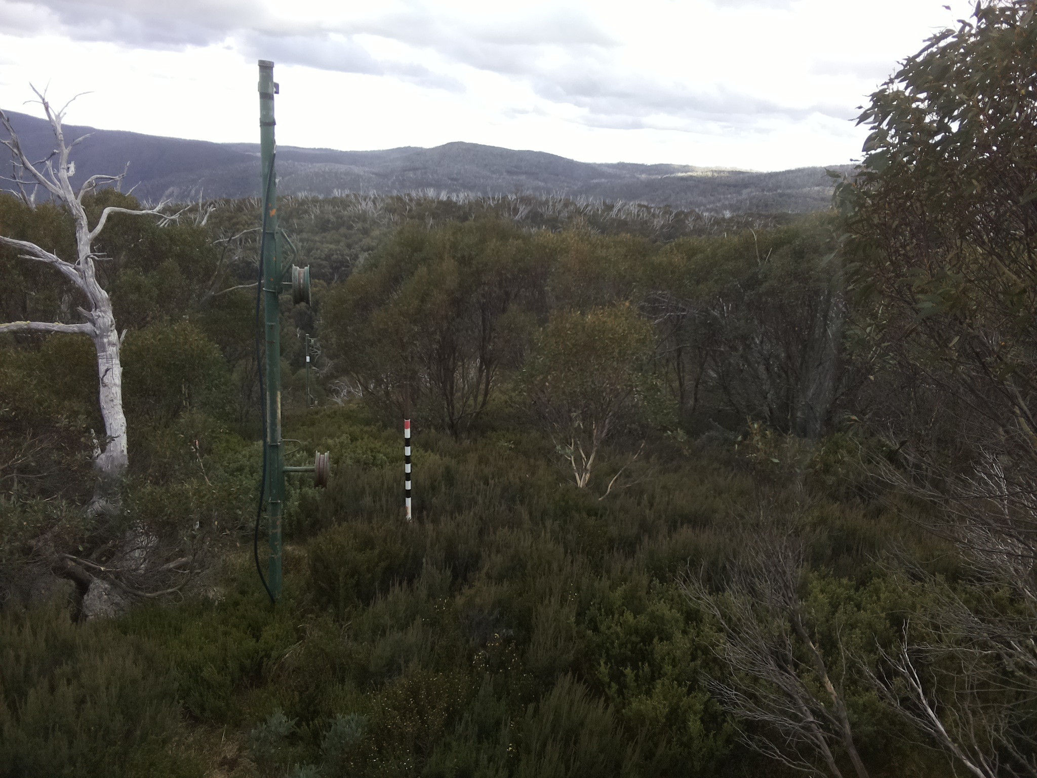 Bogong Web Cam 3:00pm Tuesday 6th of May 2025