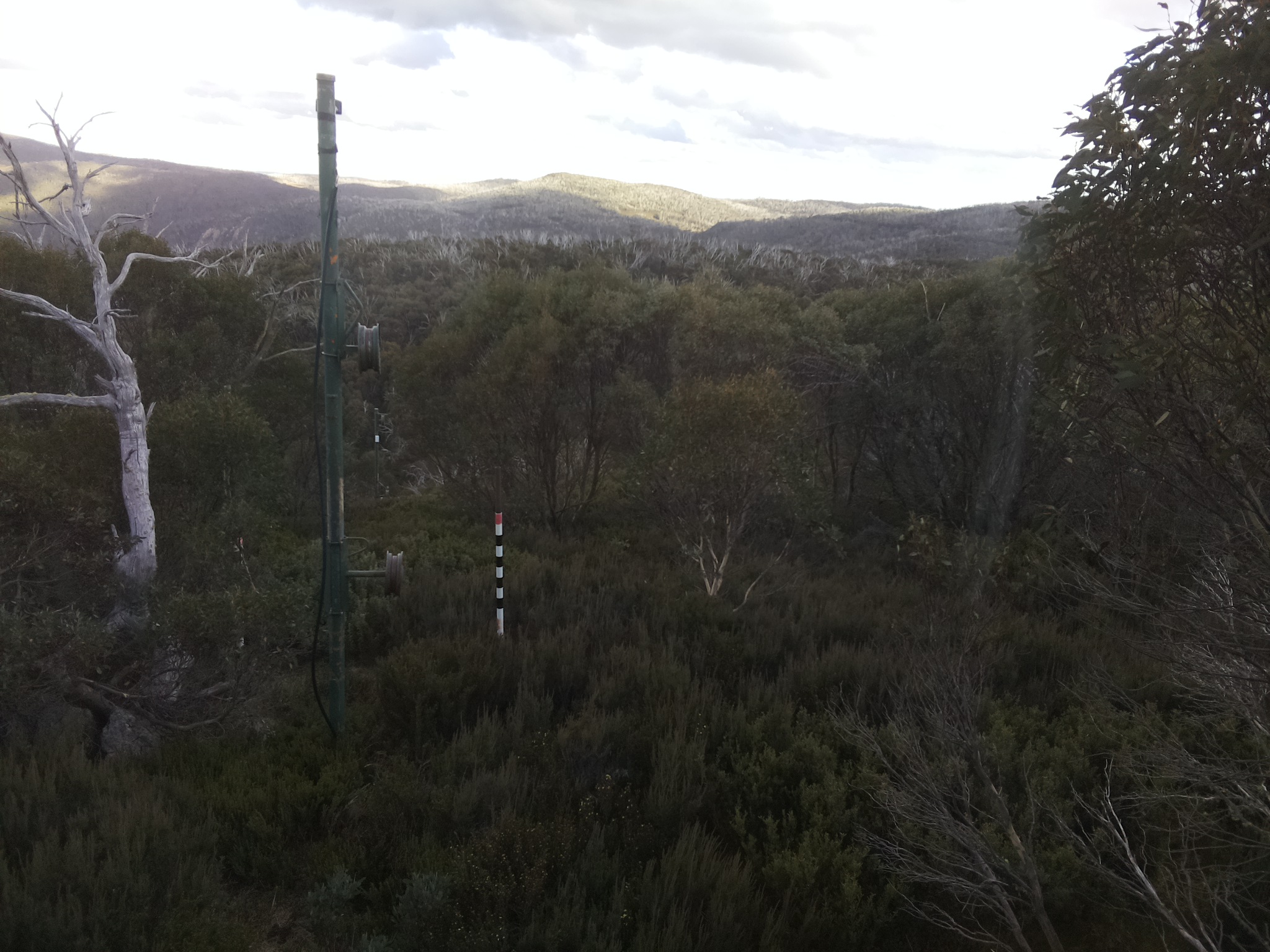 Bogong Web Cam 4:00pm Tuesday 6th of May 2025