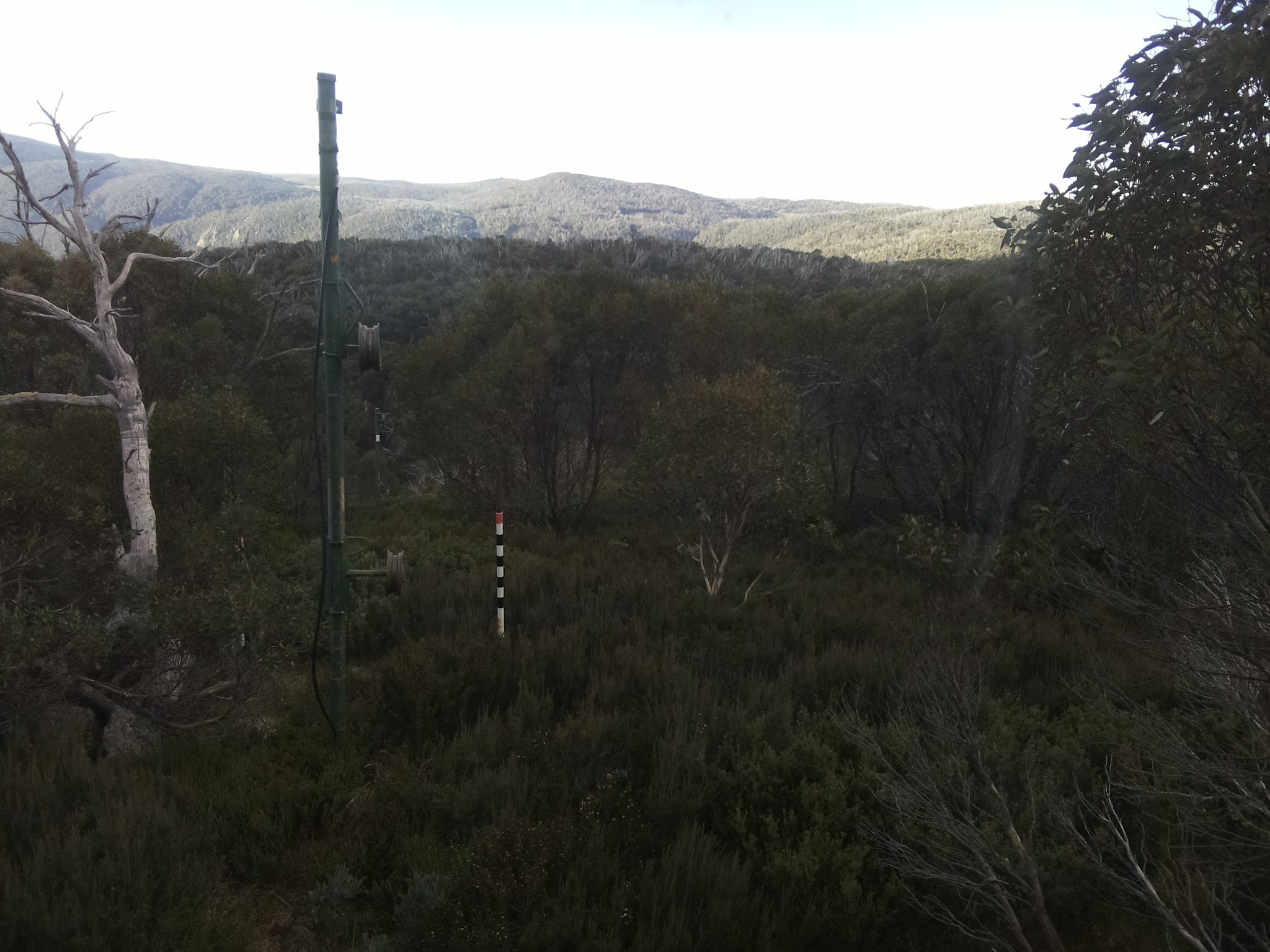 Bogong Web Cam 8:00am Wednesday 7th of May 2025