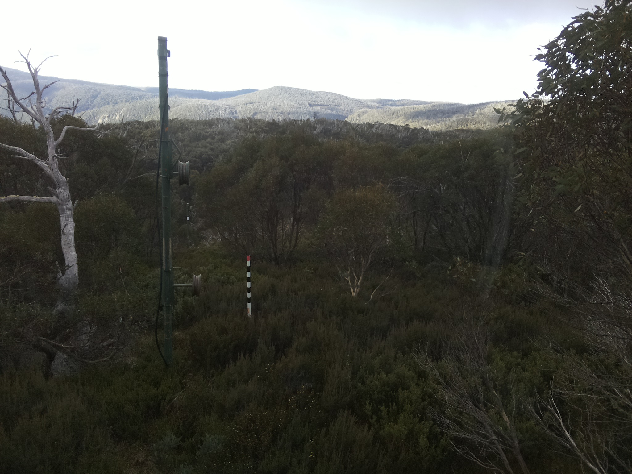 Bogong Web Cam 8:20am Wednesday 7th of May 2025
