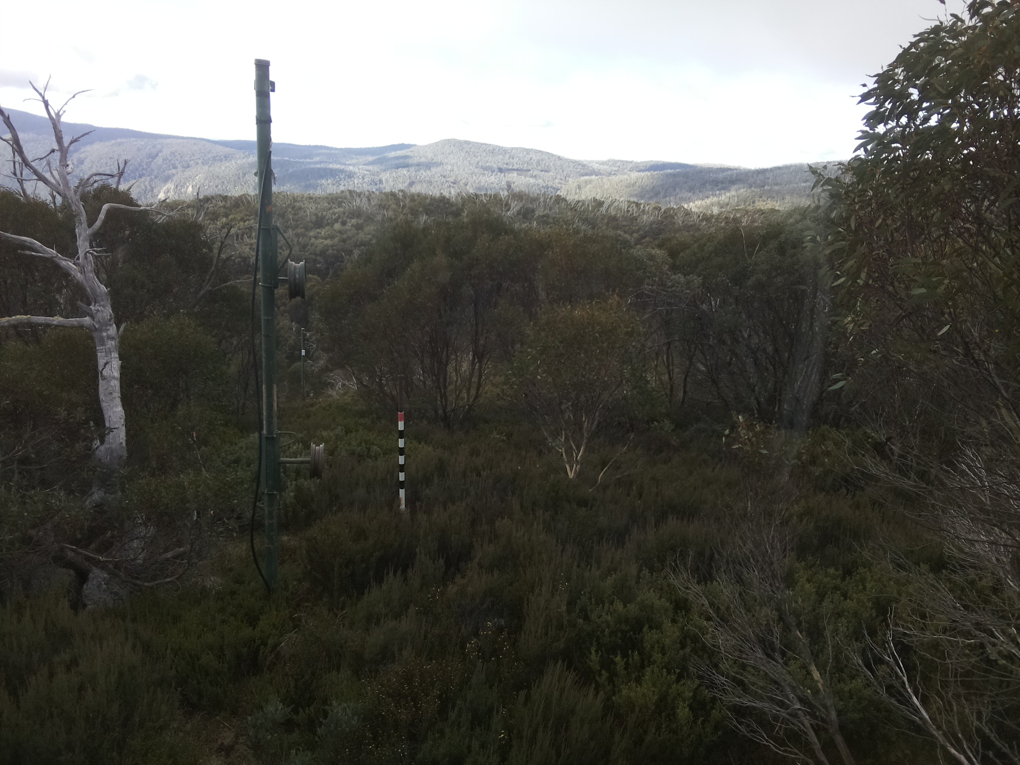Bogong Web Cam 8:40am Wednesday 7th of May 2025