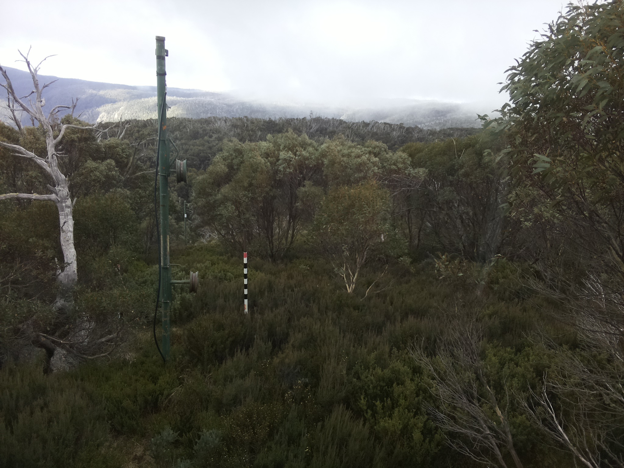 Bogong Web Cam 9:50am Wednesday 7th of May 2025