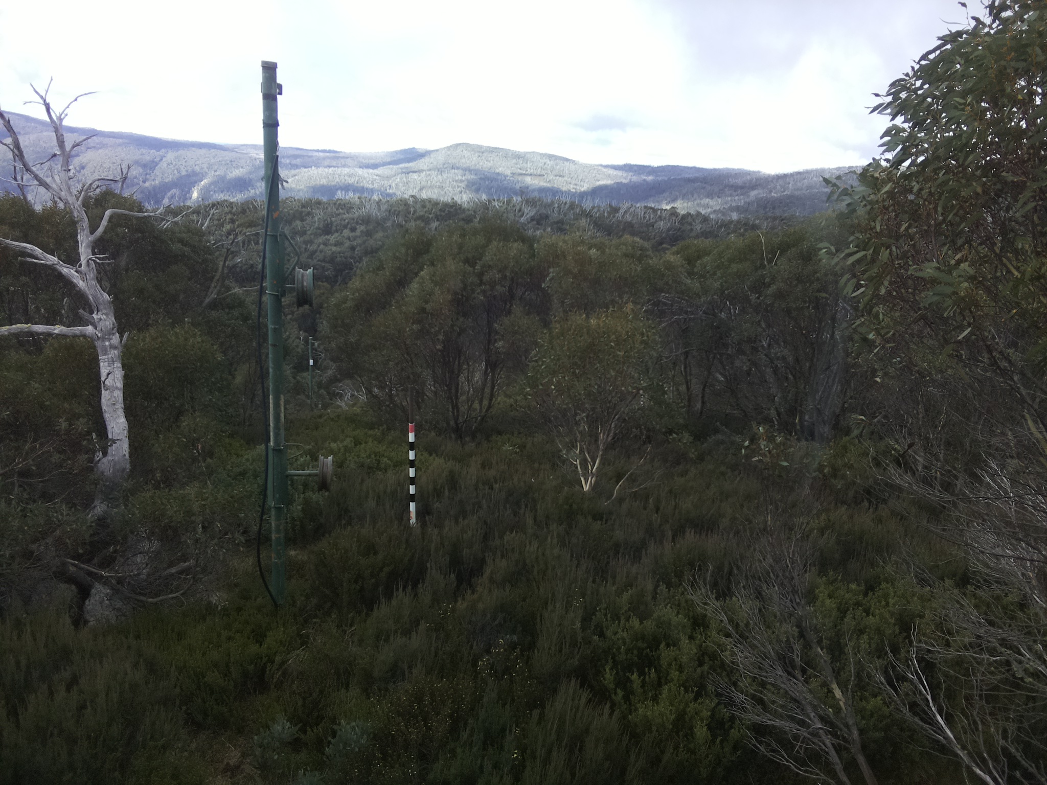 Bogong Web Cam 10:00am Wednesday 7th of May 2025