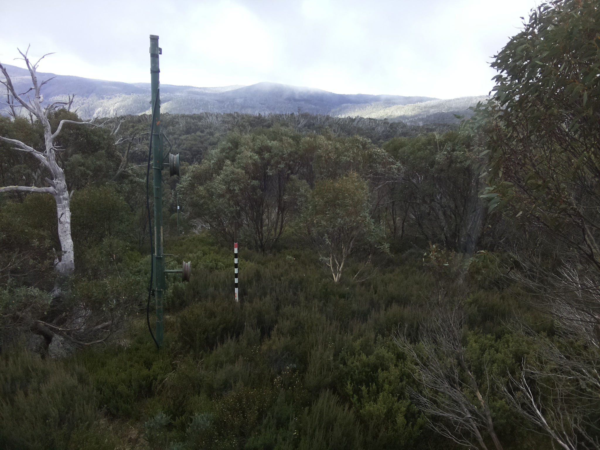 Bogong Web Cam 10:10am Wednesday 7th of May 2025