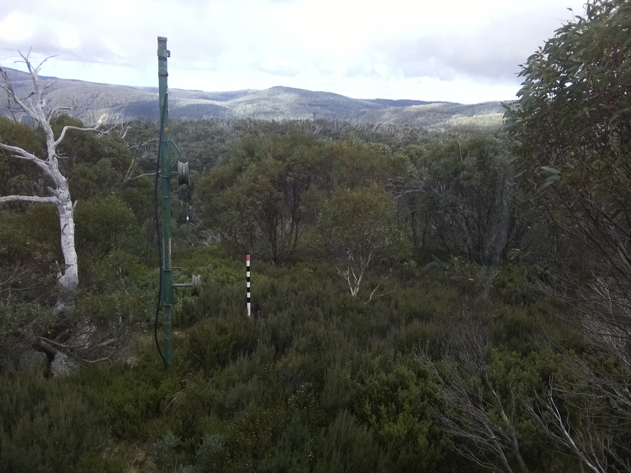 Bogong Web Cam 10:20am Wednesday 7th of May 2025