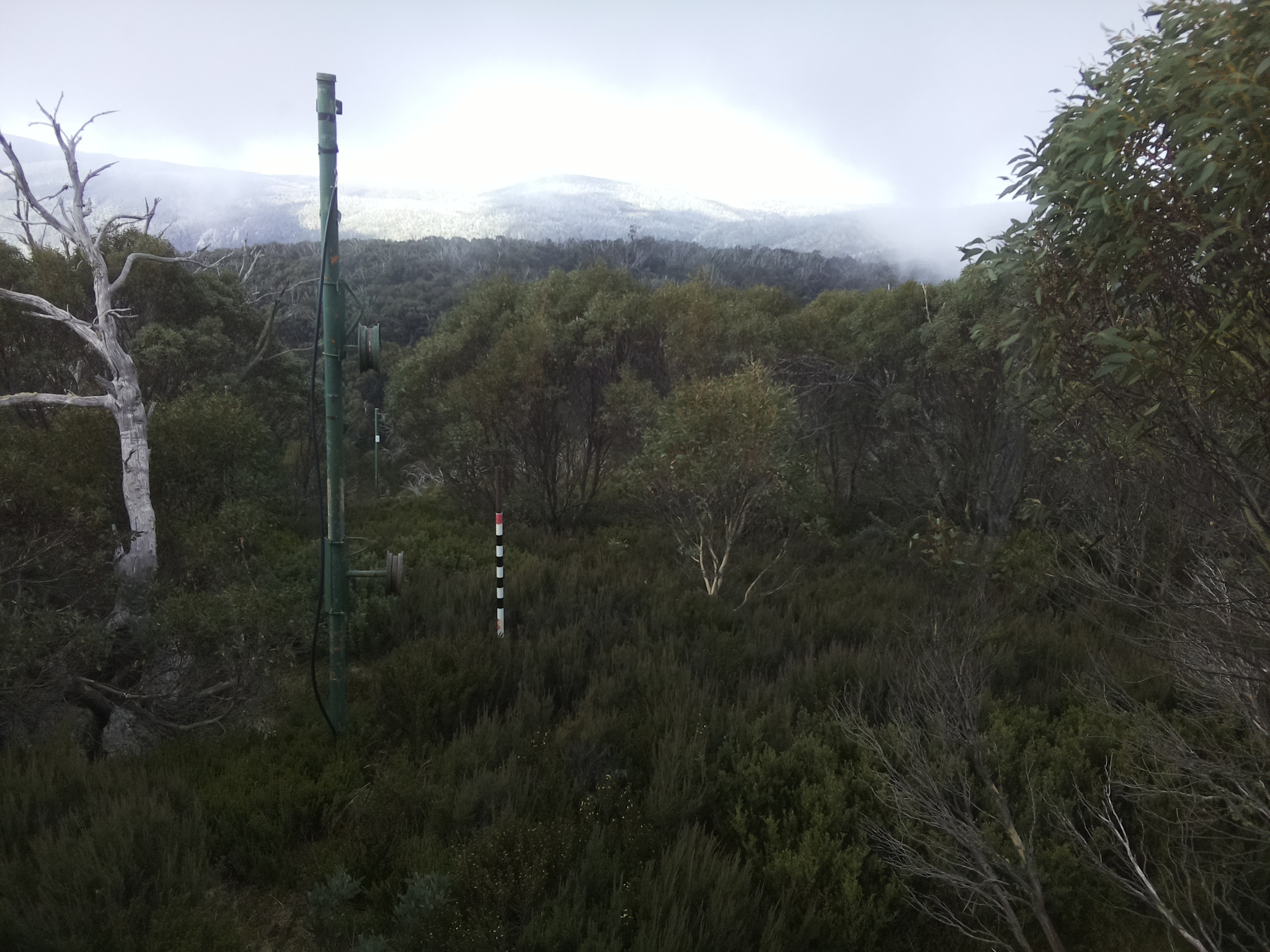 Bogong Web Cam 10:30am Wednesday 7th of May 2025