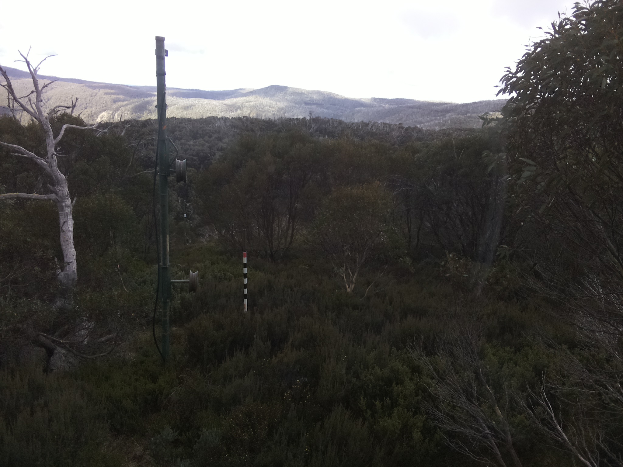Bogong Web Cam 11:20am Wednesday 7th of May 2025