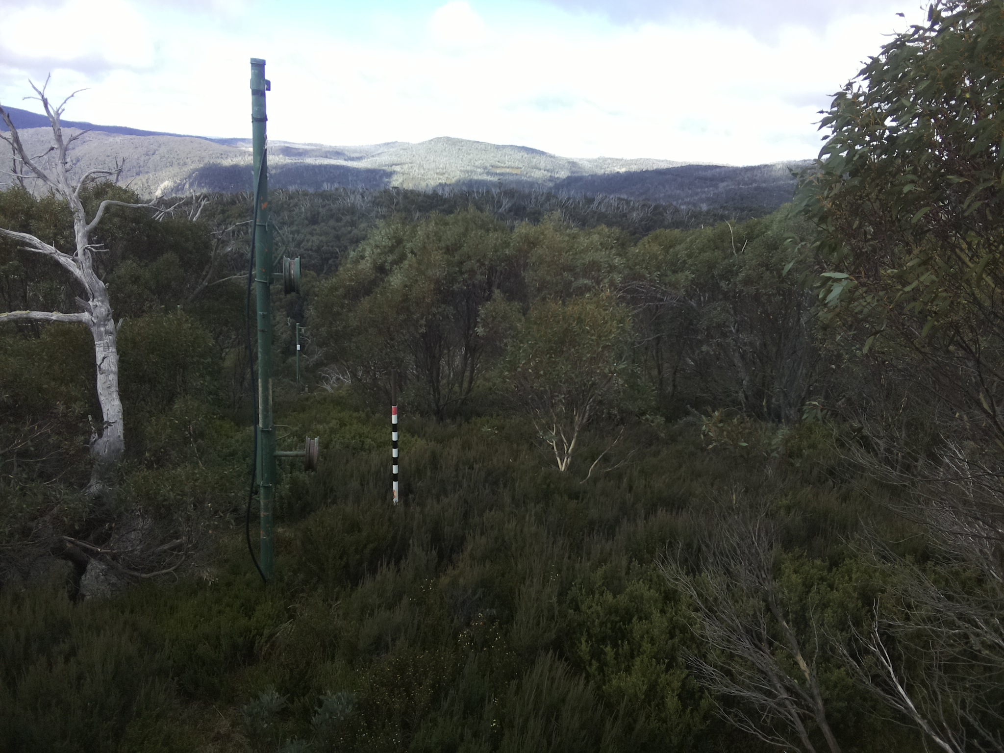 Bogong Web Cam 11:30am Wednesday 7th of May 2025