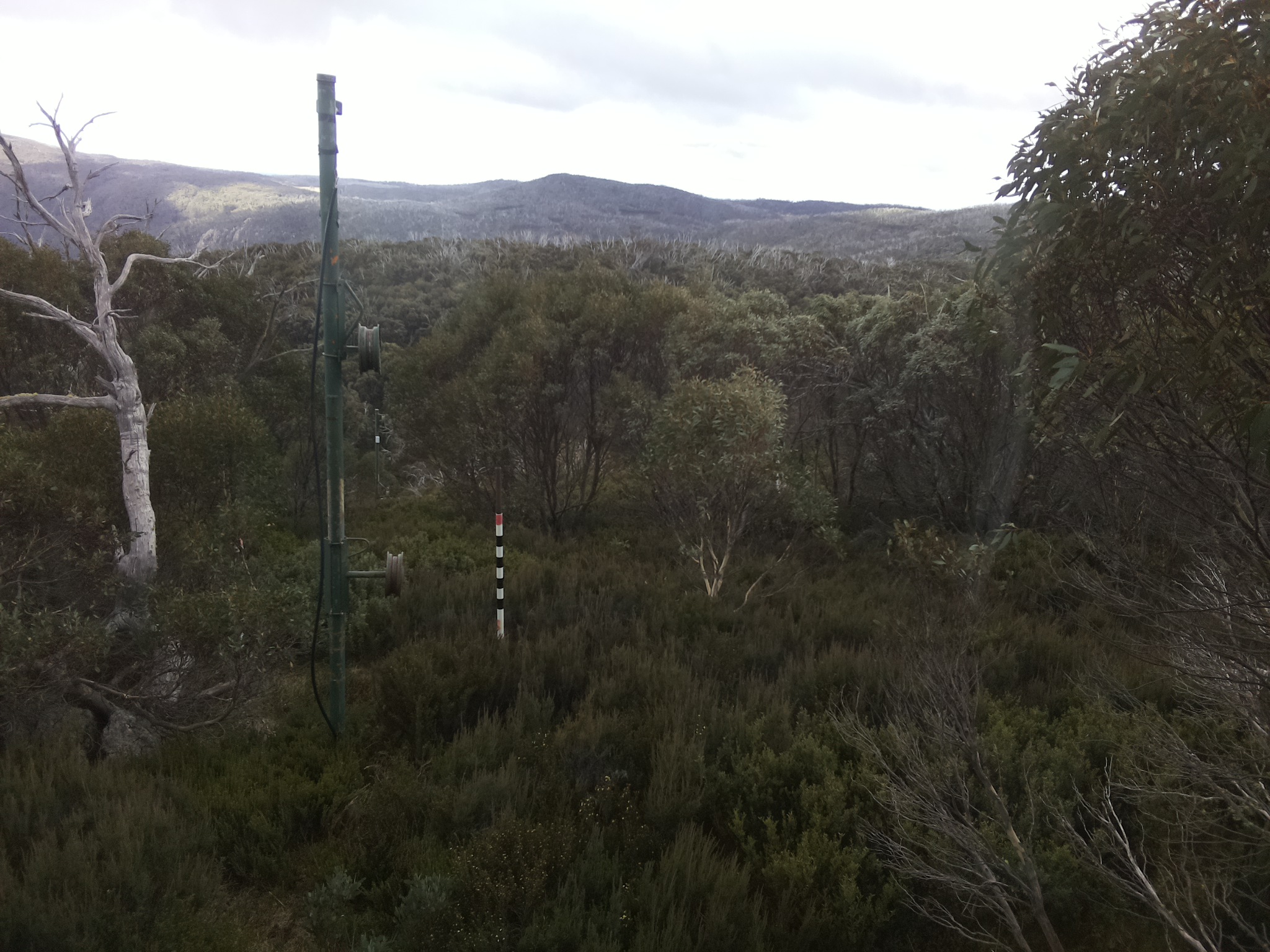 Bogong Web Cam 11:50am Wednesday 7th of May 2025