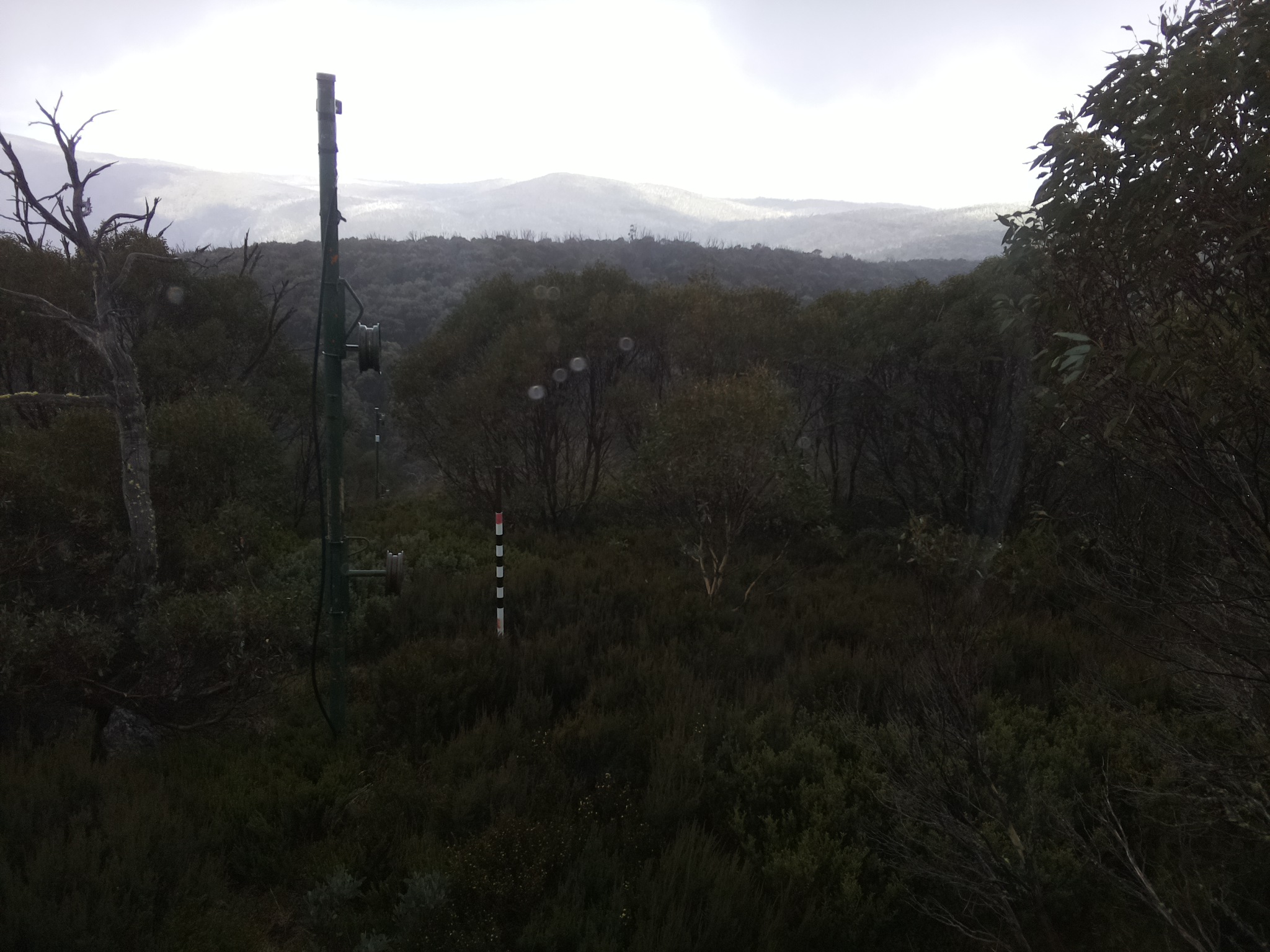 Bogong Web Cam 1:00pm Wednesday 7th of May 2025