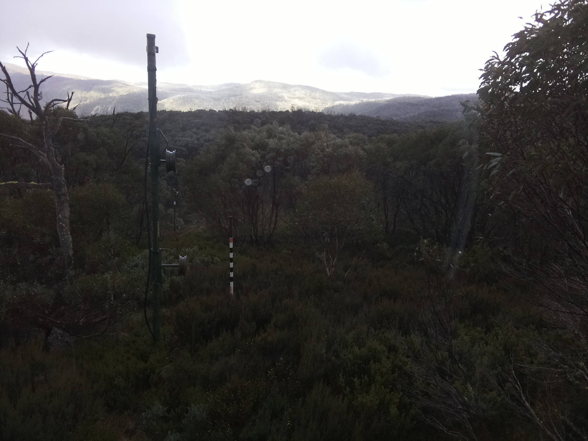 Bogong Web Cam 1:10pm Wednesday 7th of May 2025