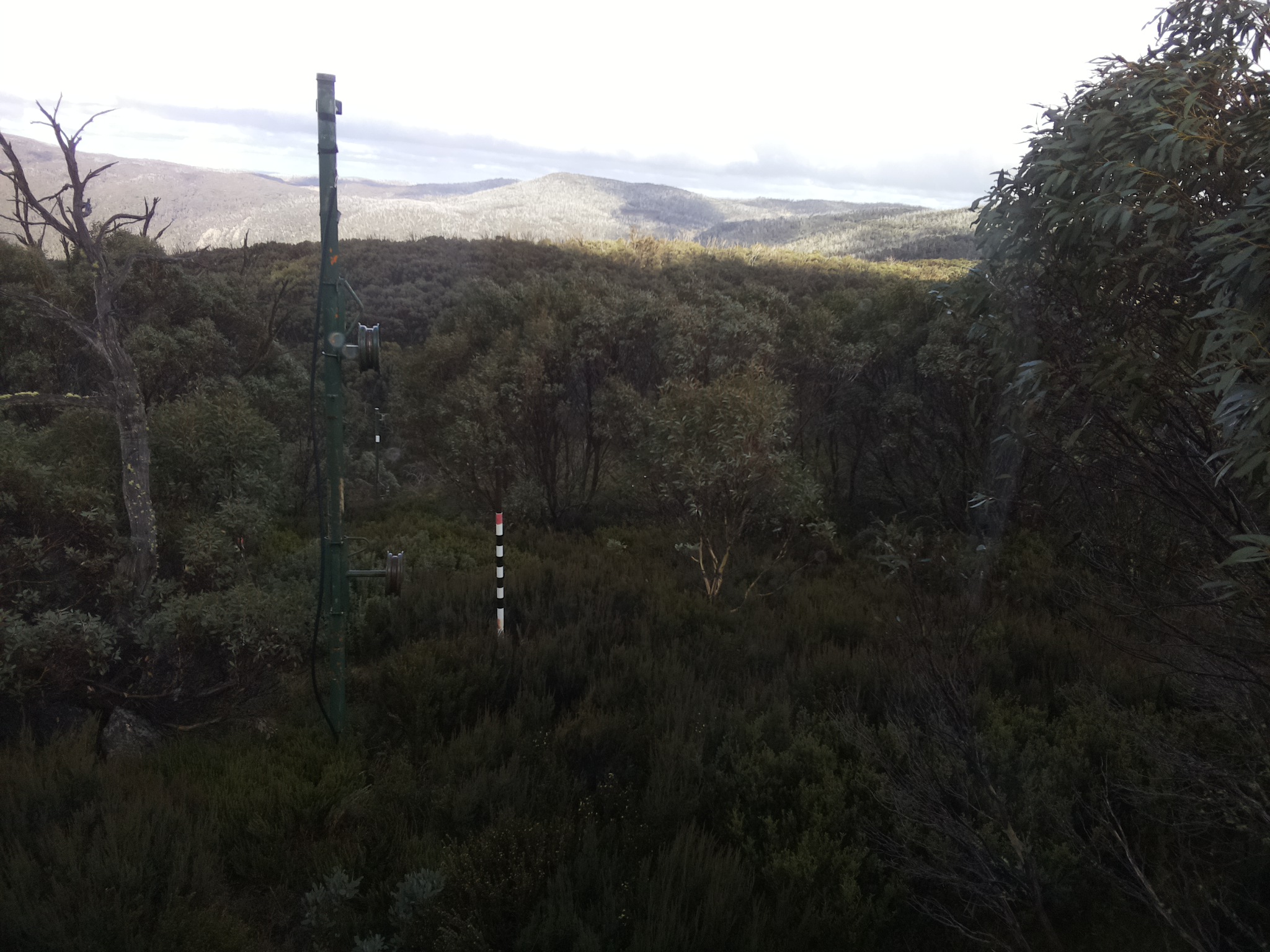 Bogong Web Cam 1:50pm Wednesday 7th of May 2025