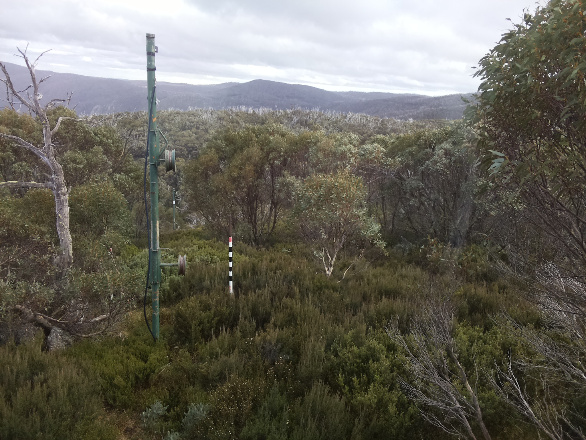 Bogong Web Cam 3:40pm Wednesday 7th of May 2025