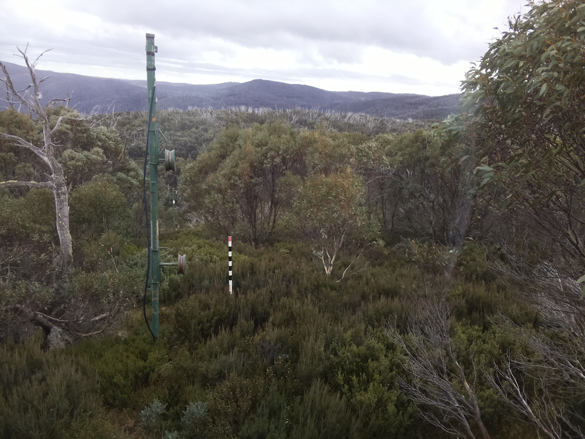 Bogong Web Cam 3:50pm Wednesday 7th of May 2025
