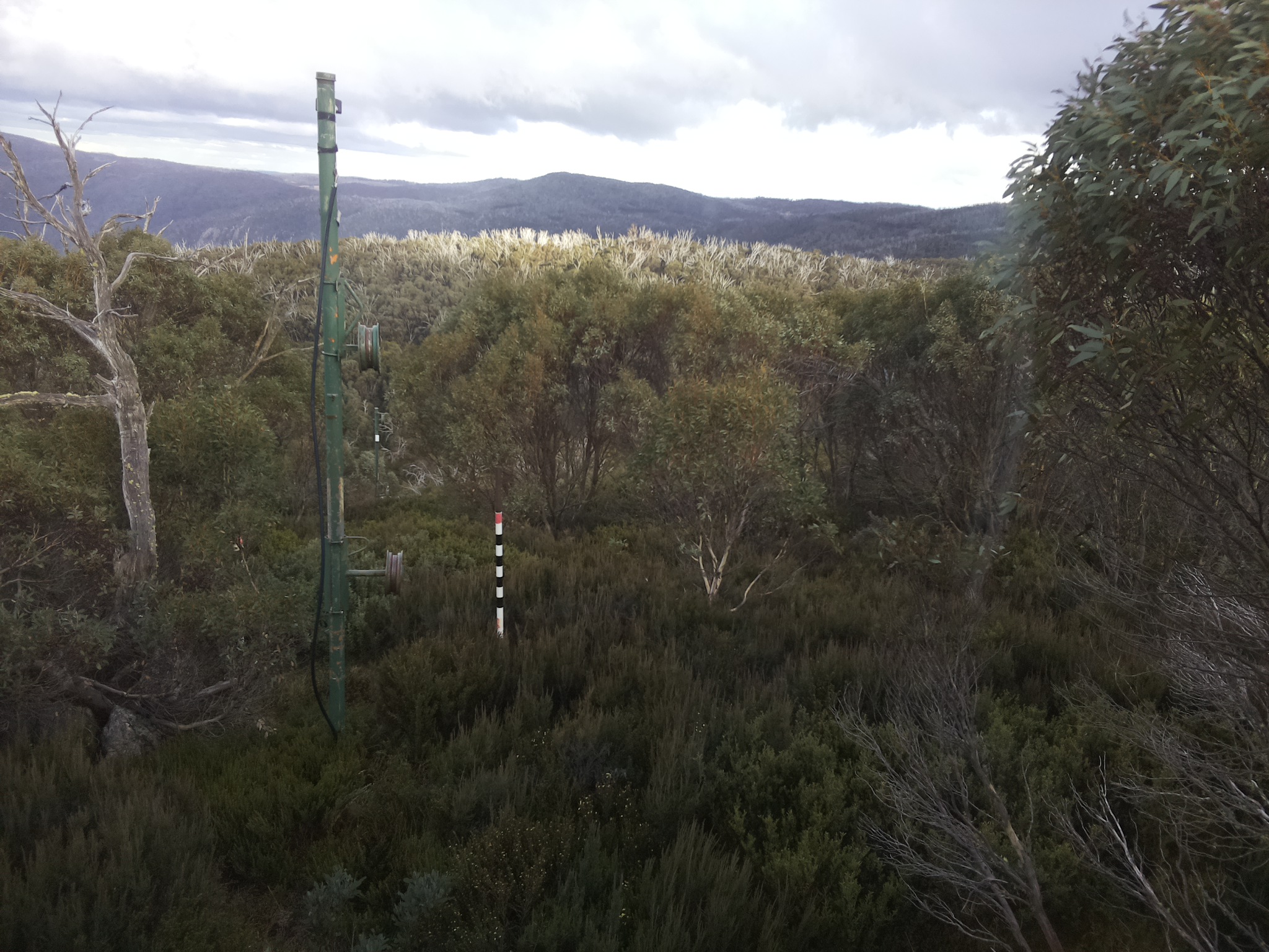 Bogong Web Cam 4:00pm Wednesday 7th of May 2025