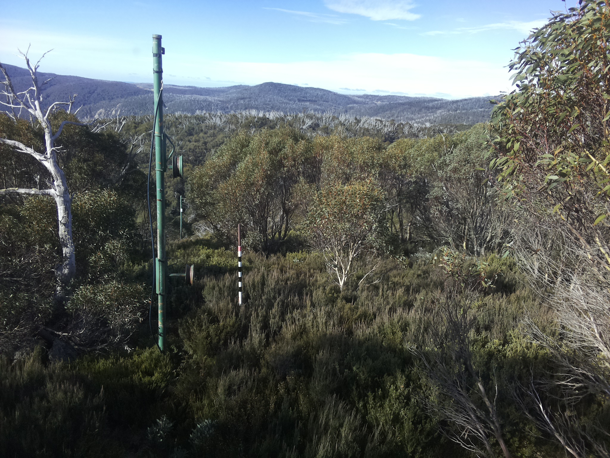 Bogong Web Cam 10:00am Thursday 8th of May 2025