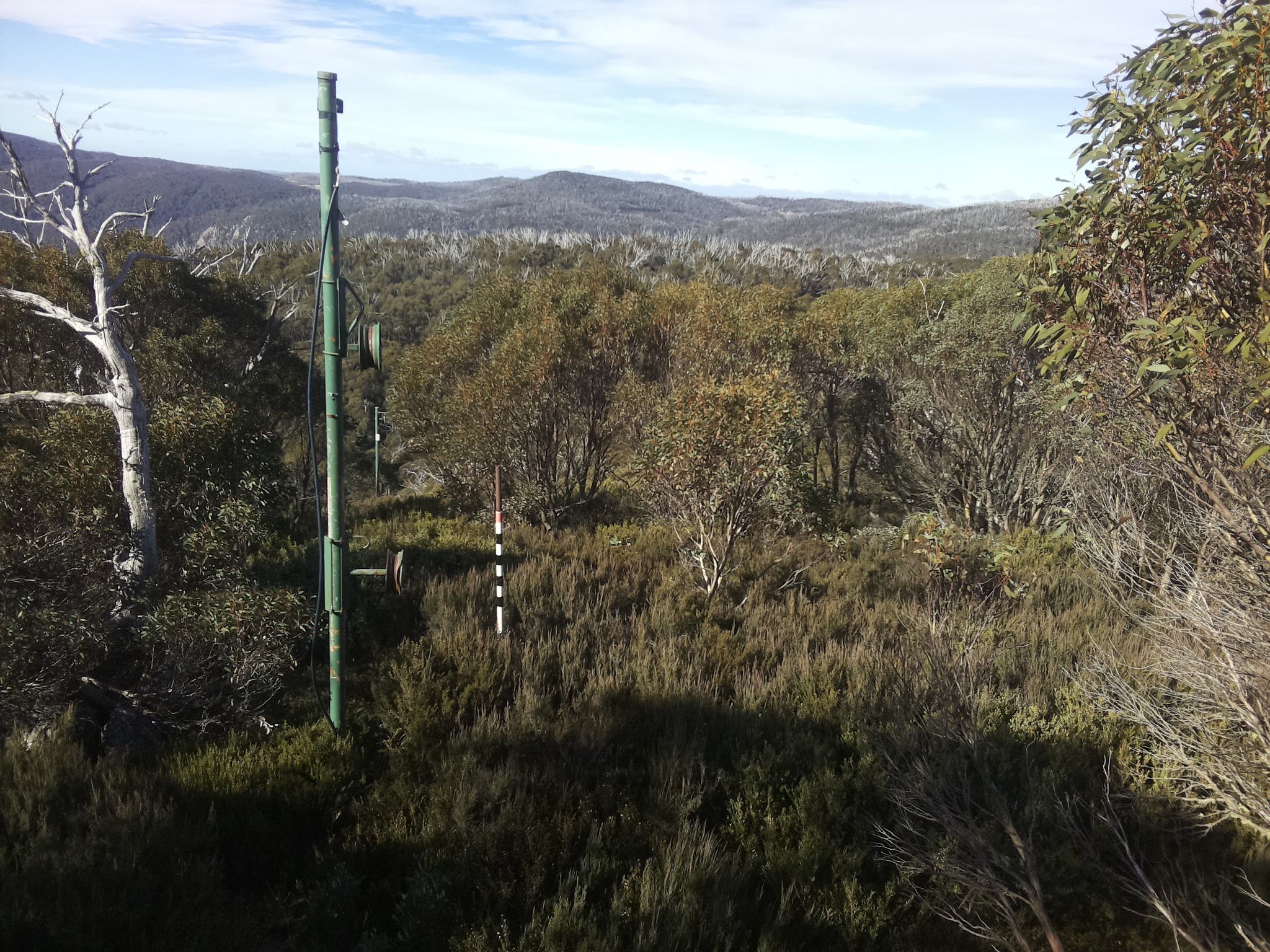 Bogong Web Cam 10:20am Thursday 8th of May 2025