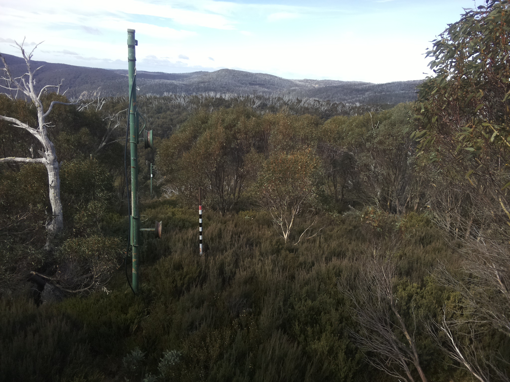Bogong Web Cam 10:40am Thursday 8th of May 2025