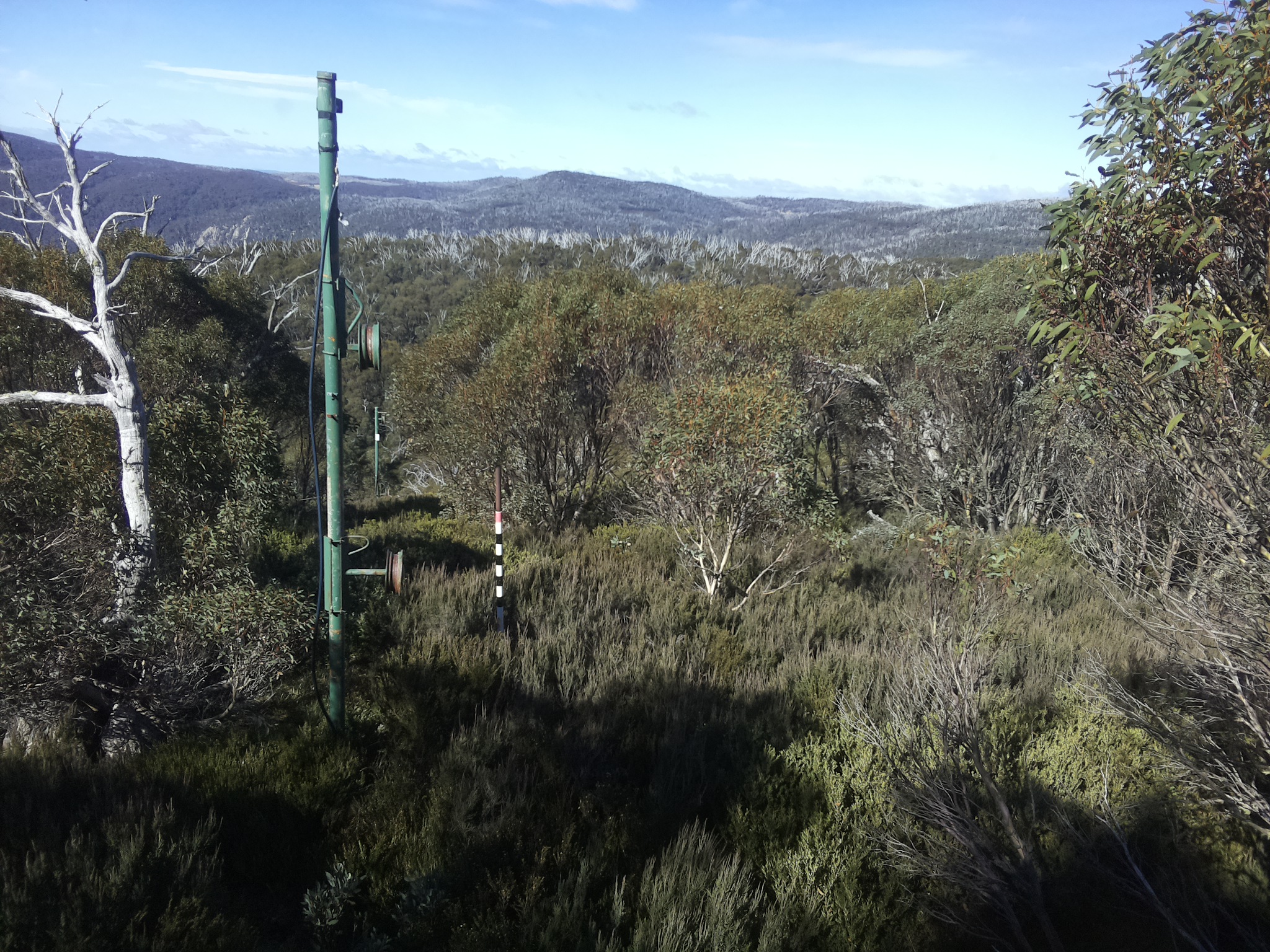 Bogong Web Cam 11:20am Thursday 8th of May 2025