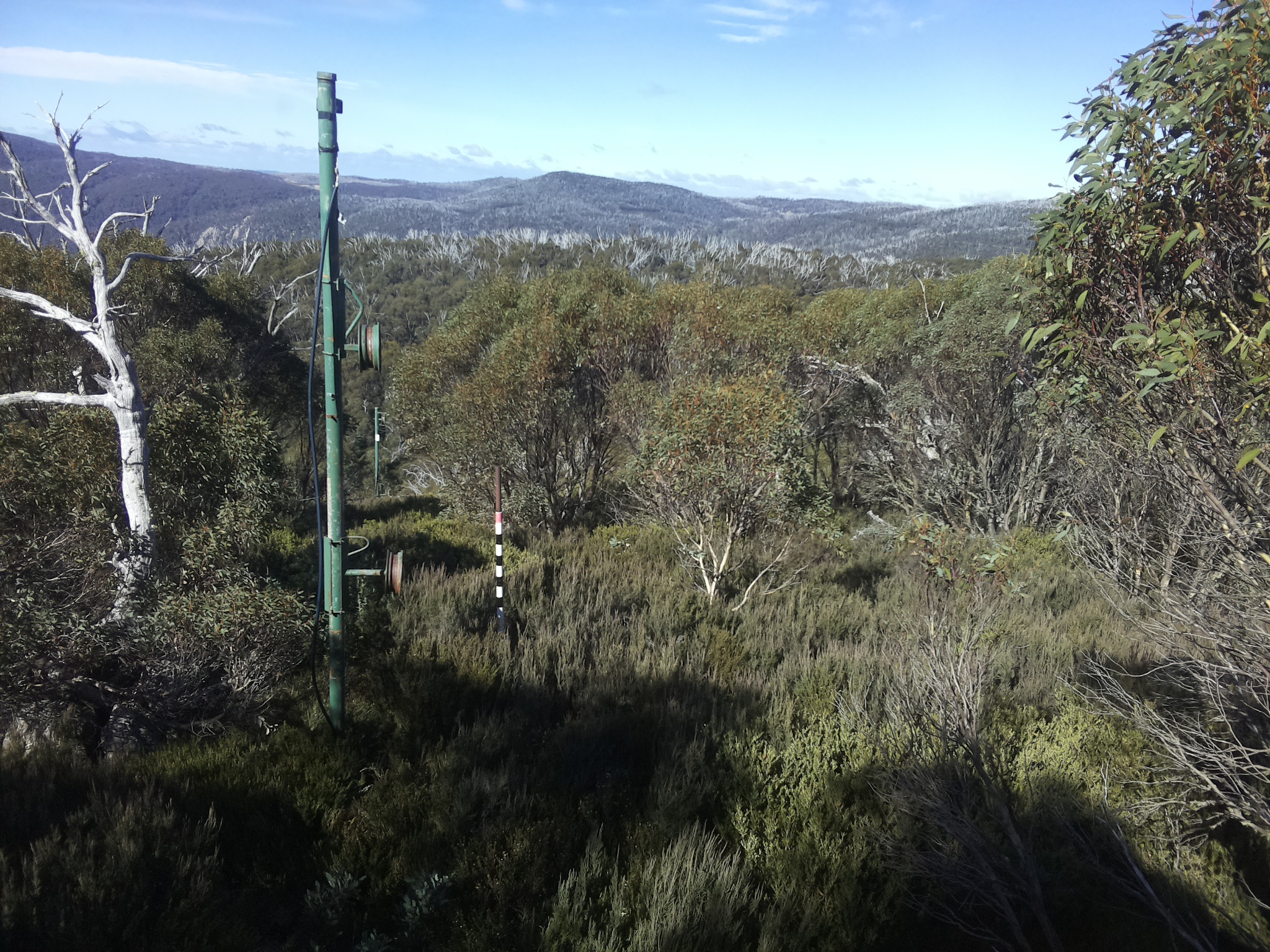 Bogong Web Cam 11:30am Thursday 8th of May 2025