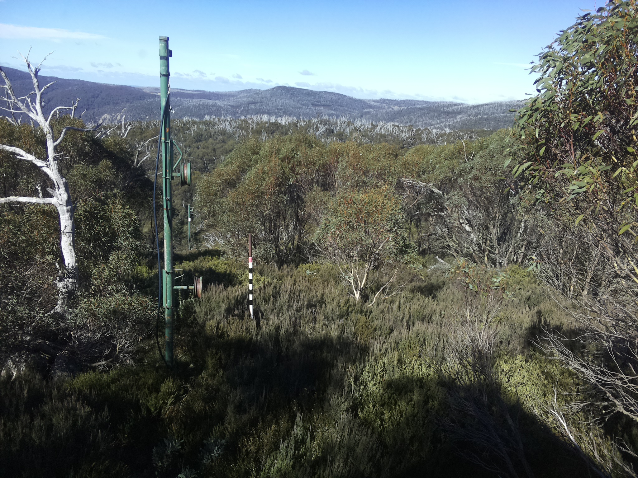 Bogong Web Cam 11:40am Thursday 8th of May 2025