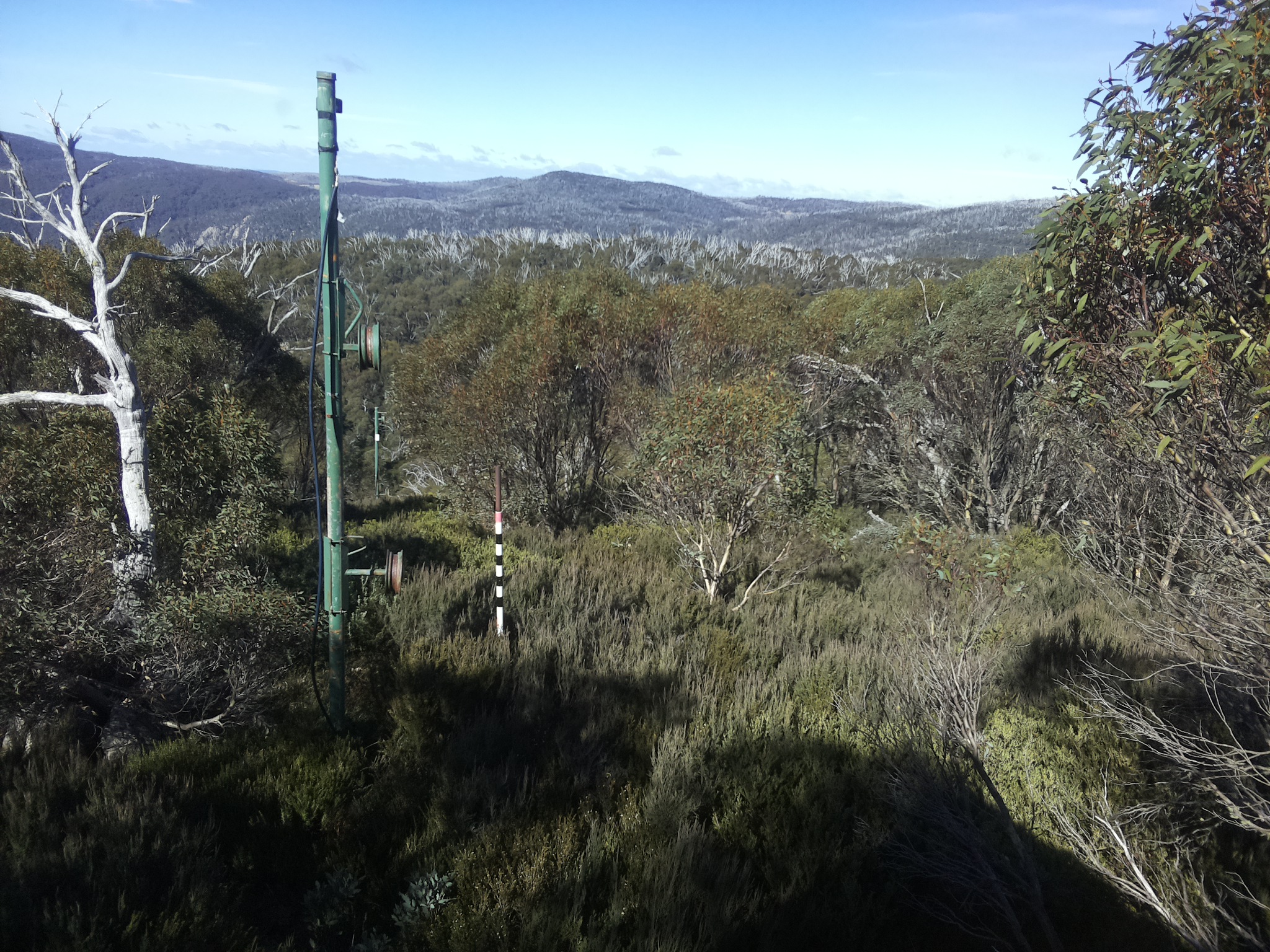 Bogong Web Cam 11:50am Thursday 8th of May 2025