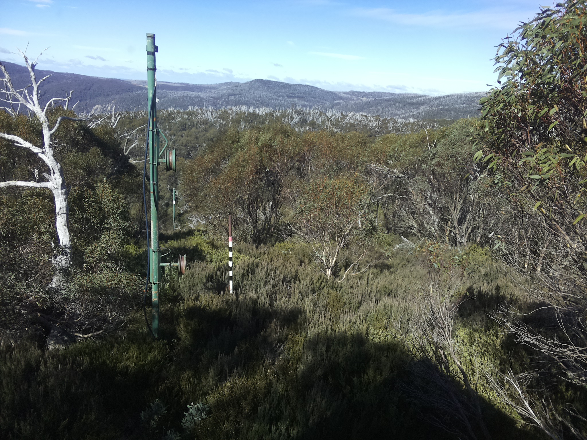 Bogong Web Cam 12:00pm Thursday 8th of May 2025