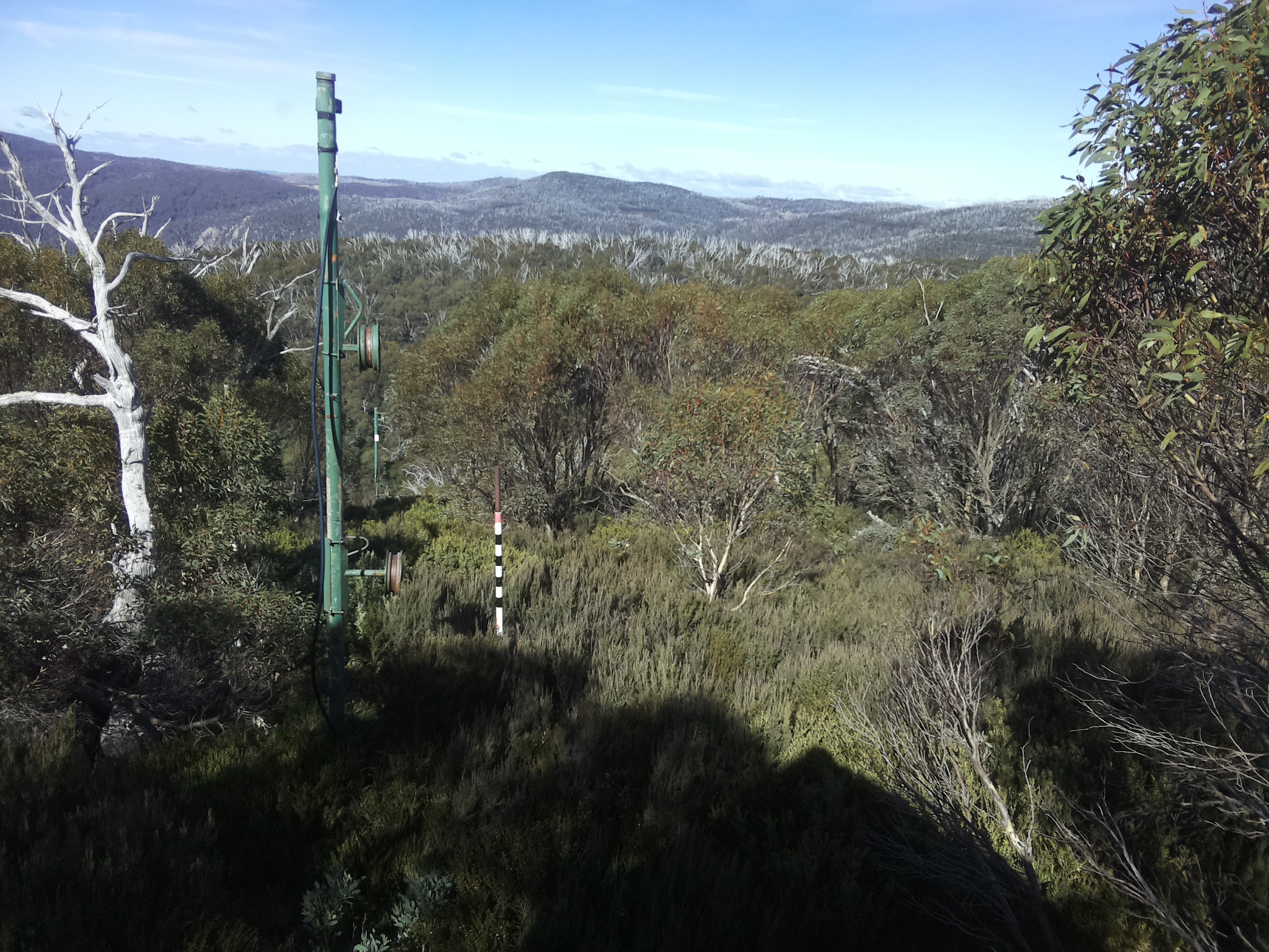Bogong Web Cam 12:20pm Thursday 8th of May 2025