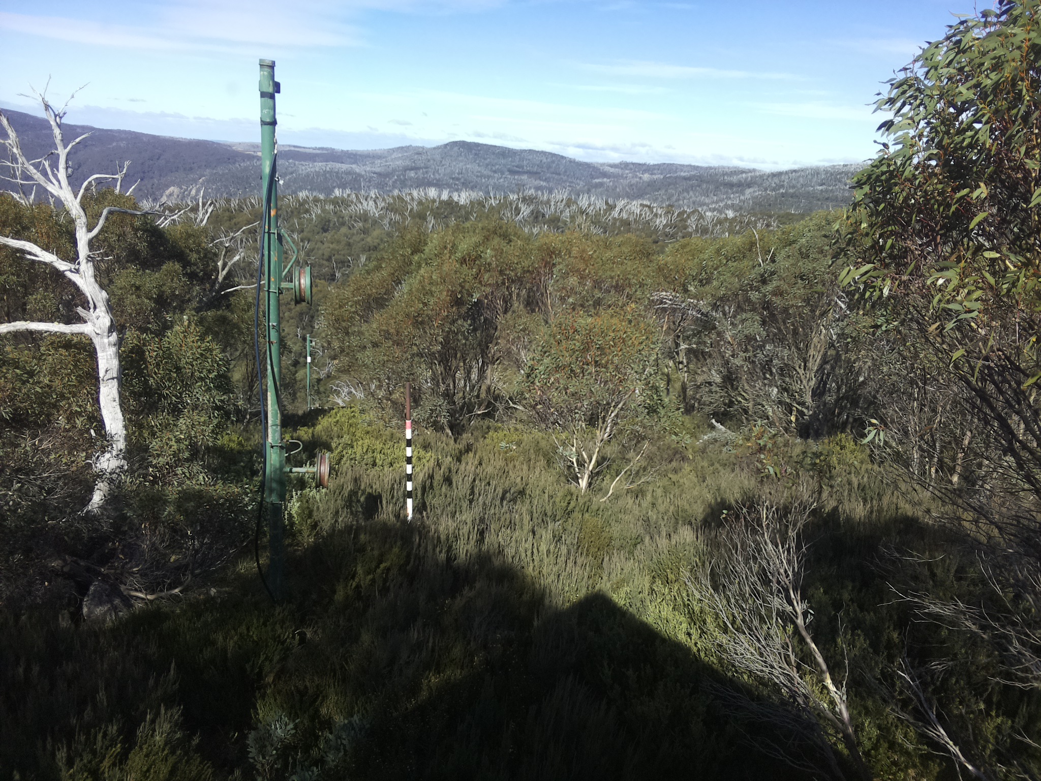 Bogong Web Cam 12:40pm Thursday 8th of May 2025