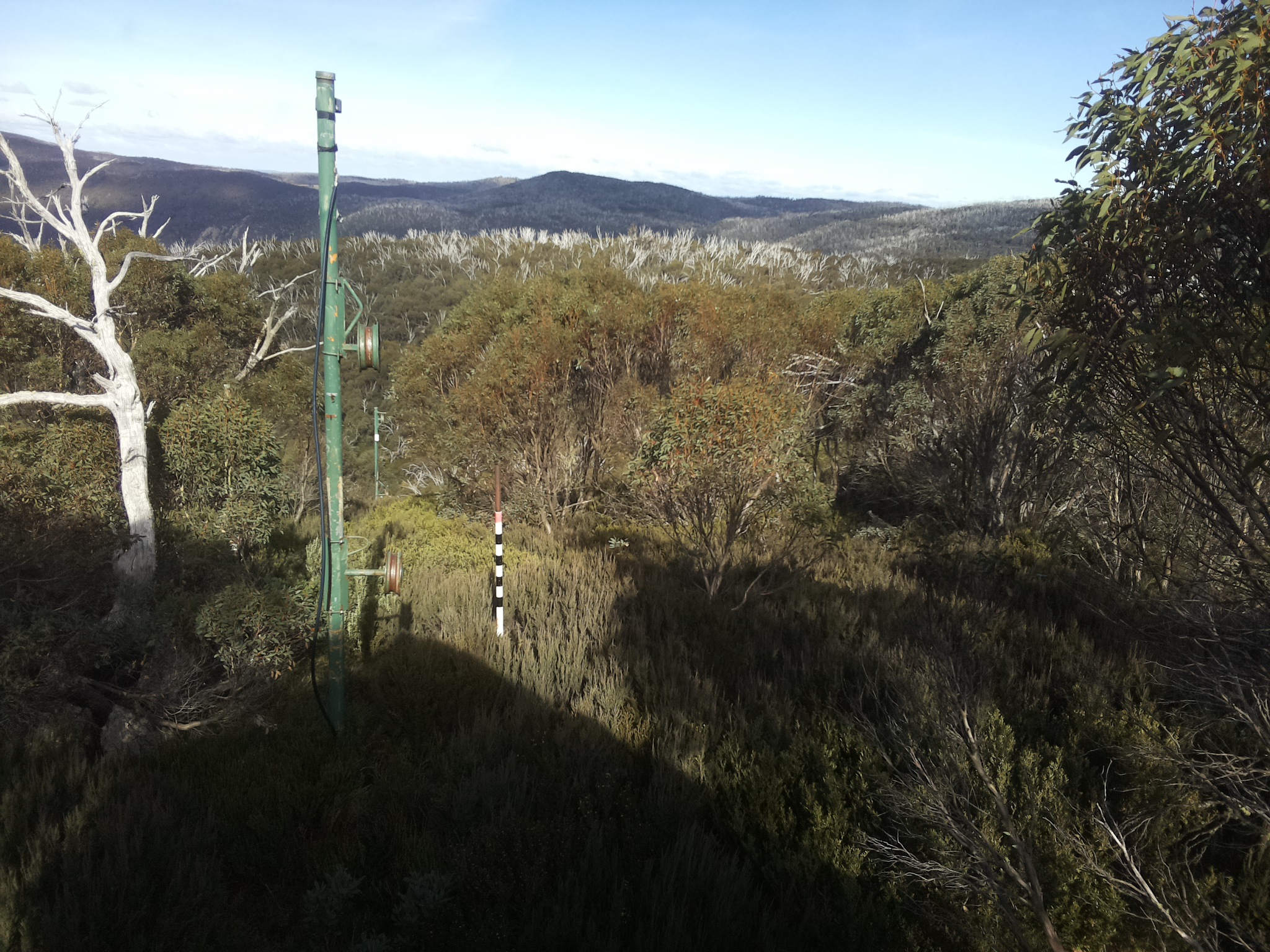 Bogong Web Cam 2:00pm Thursday 8th of May 2025