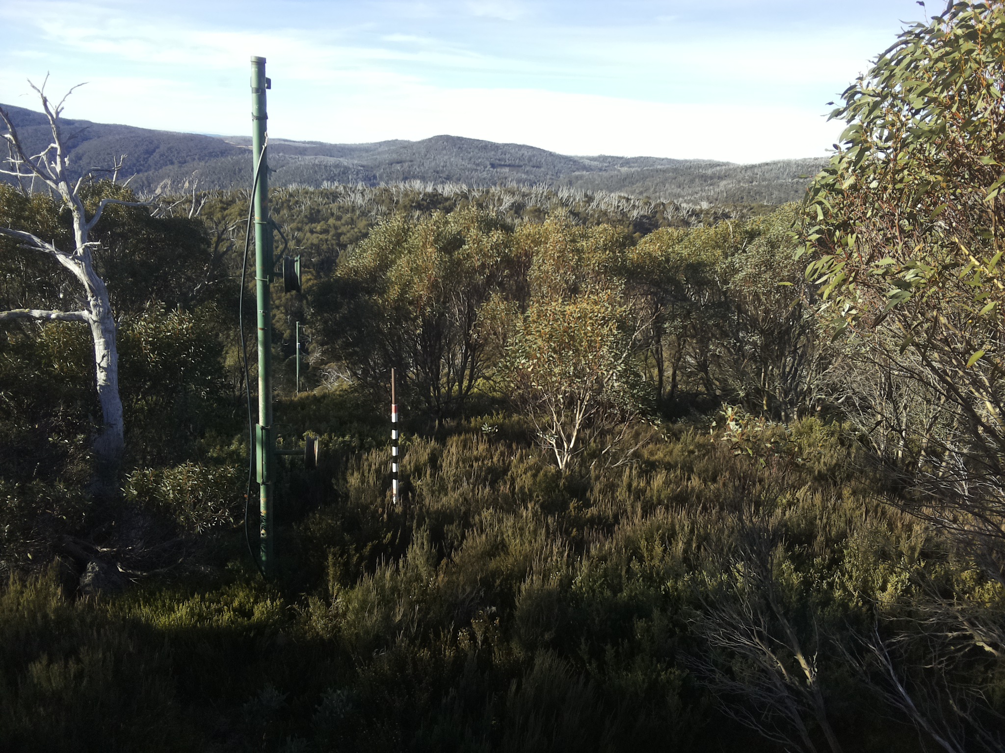 Bogong Web Cam 8:40am Friday 9th of May 2025