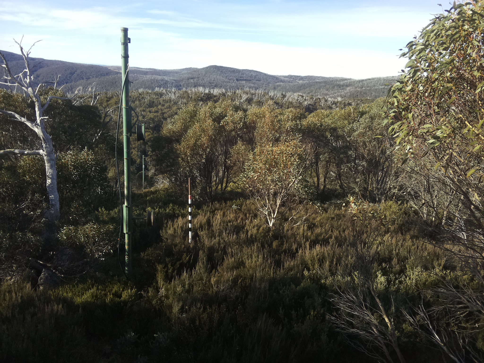 Bogong Web Cam 8:50am Friday 9th of May 2025