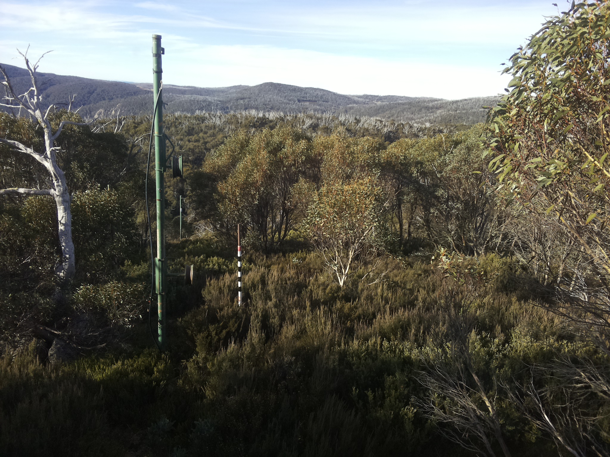 Bogong Web Cam 9:00am Friday 9th of May 2025