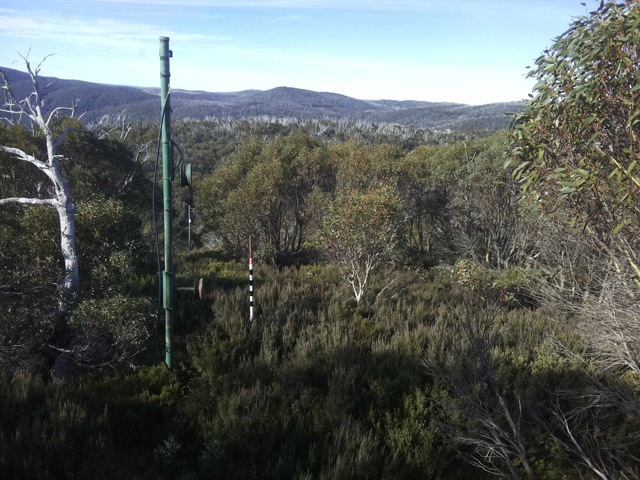 Bogong Web Cam 10:00am Friday 9th of May 2025