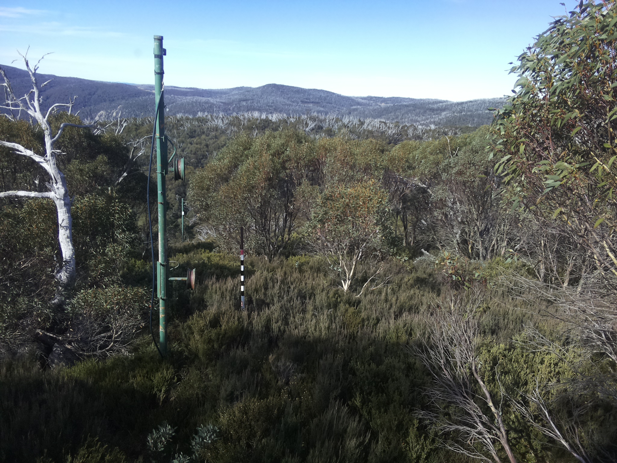Bogong Web Cam 10:50am Friday 9th of May 2025
