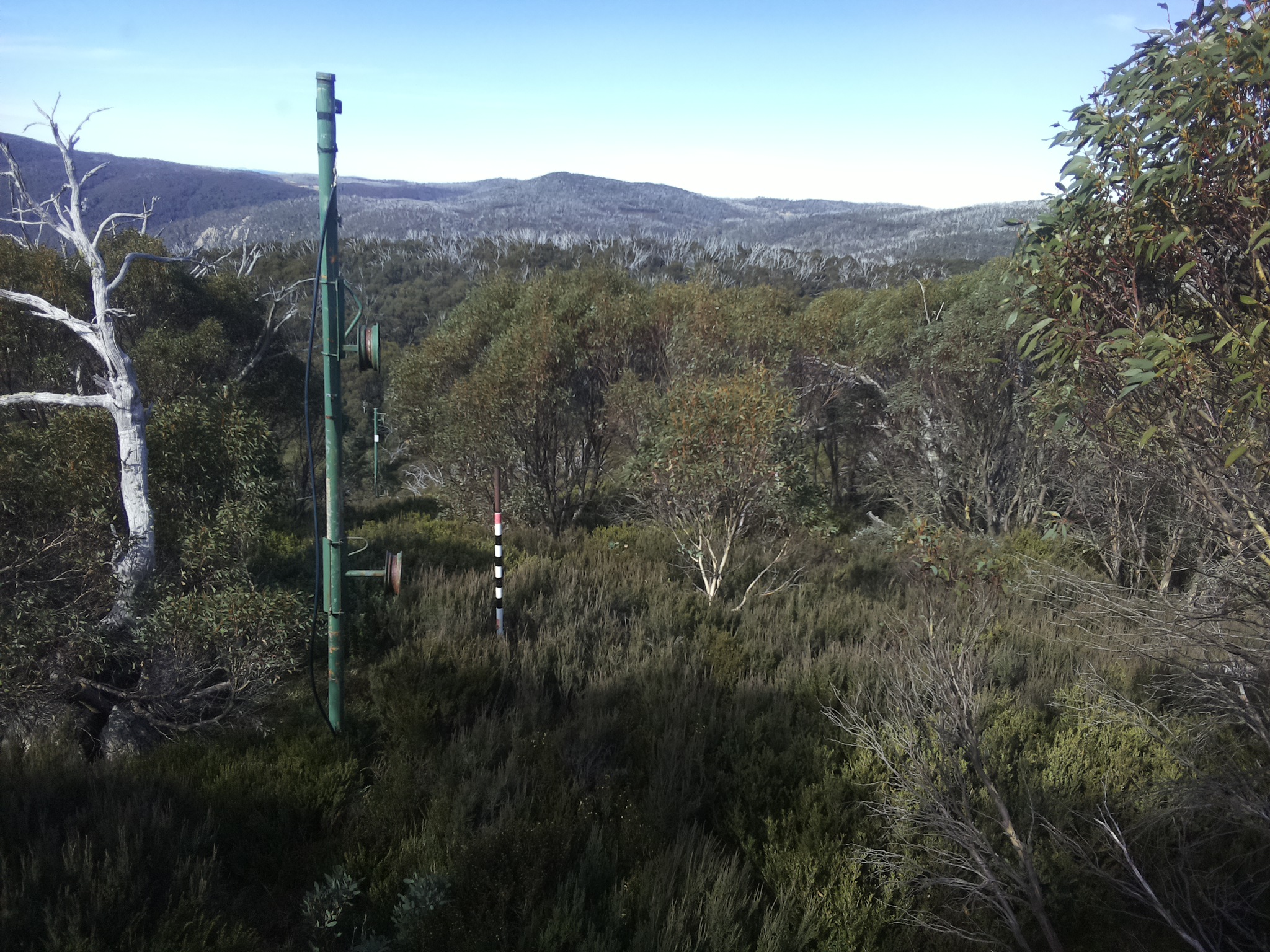 Bogong Web Cam 11:10am Friday 9th of May 2025