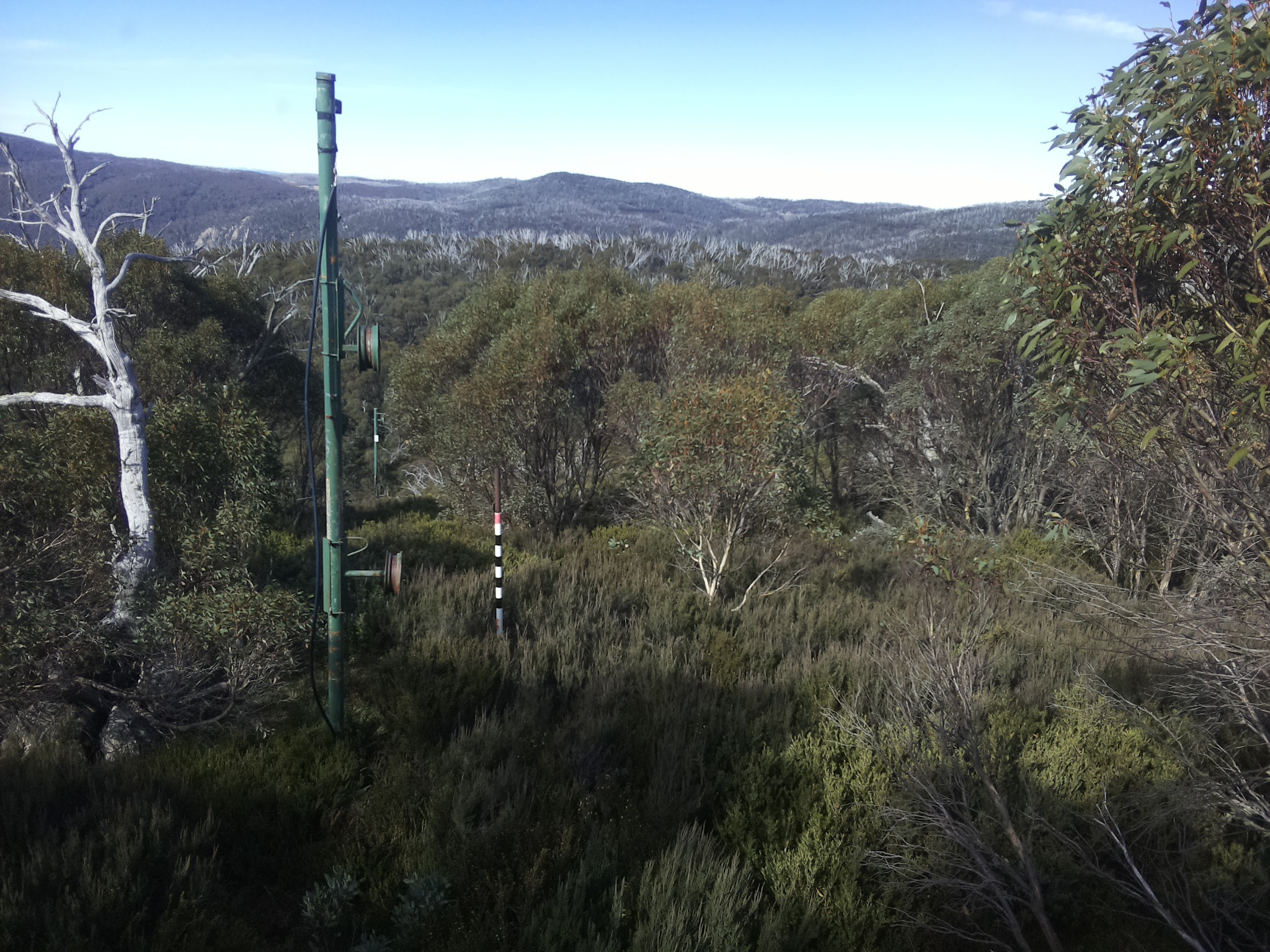 Bogong Web Cam 11:20am Friday 9th of May 2025
