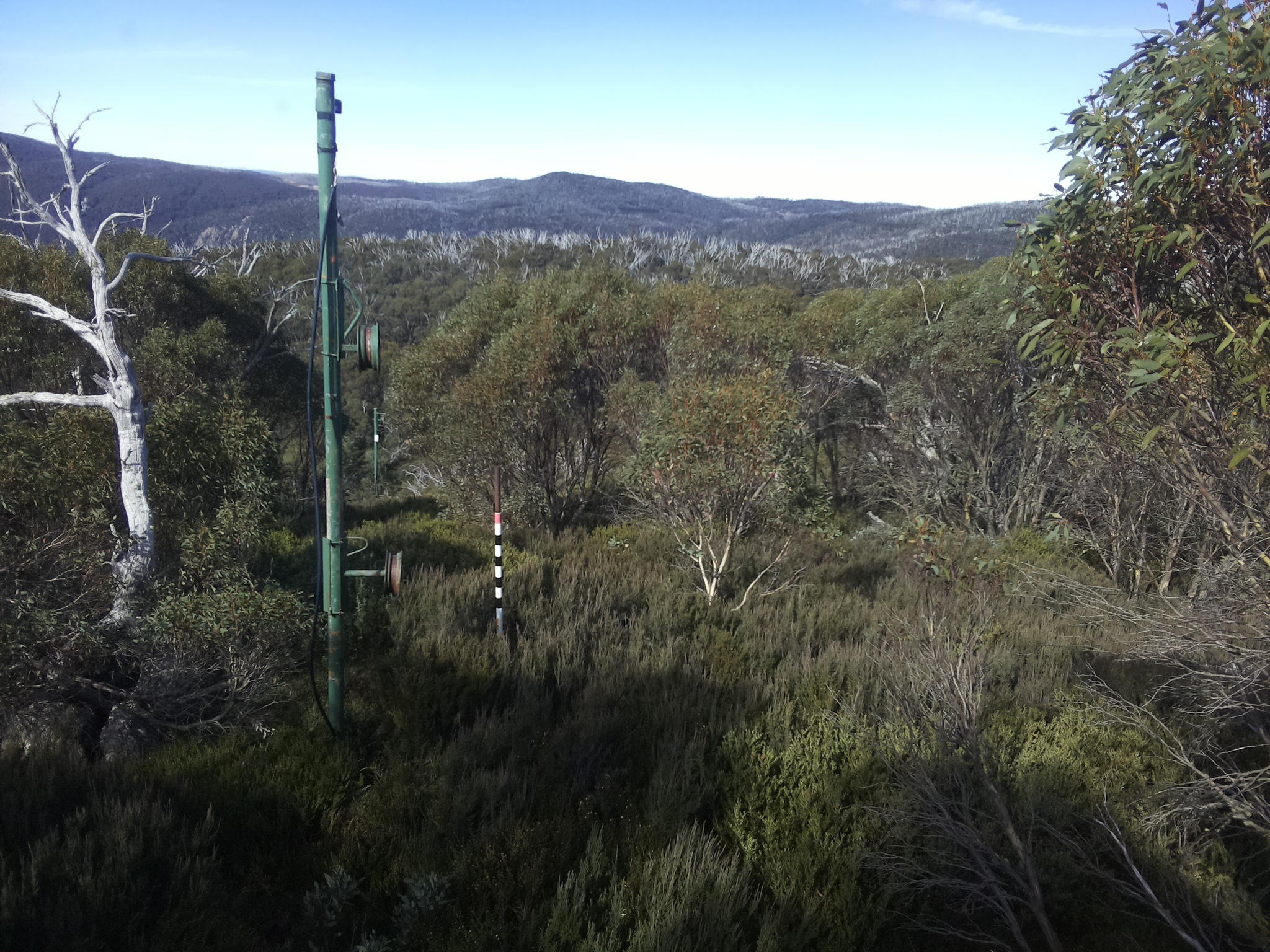 Bogong Web Cam 11:30am Friday 9th of May 2025