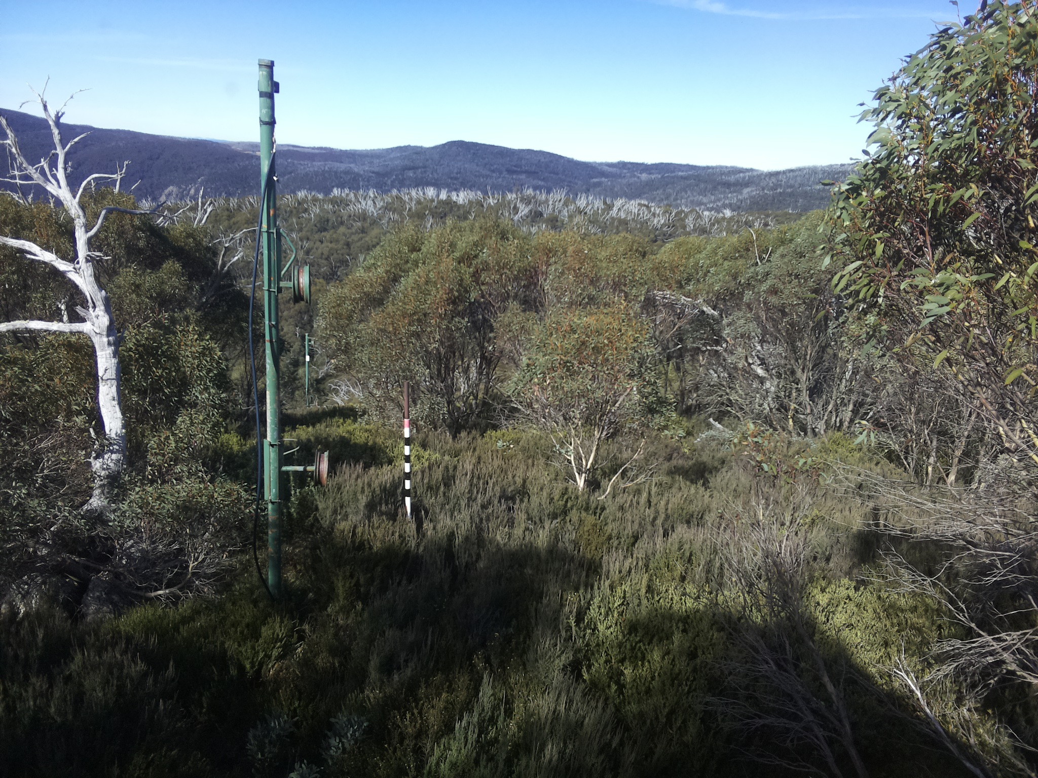 Bogong Web Cam 11:40am Friday 9th of May 2025