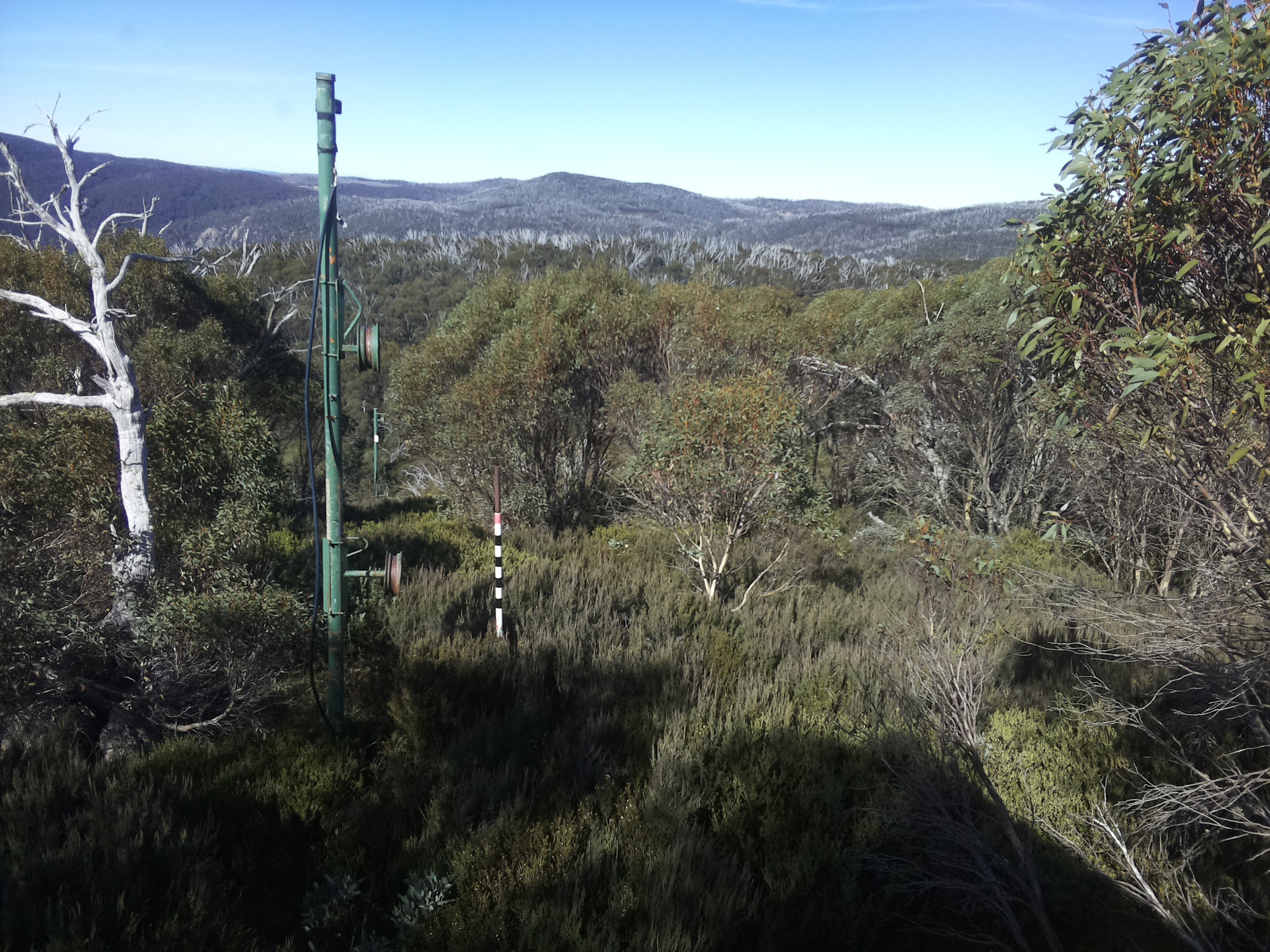 Bogong Web Cam 11:50am Friday 9th of May 2025