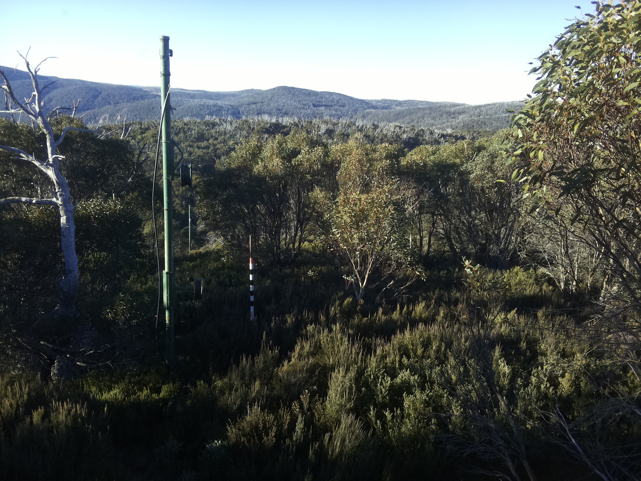 Bogong Web Cam 8:10am Saturday 10th of May 2025