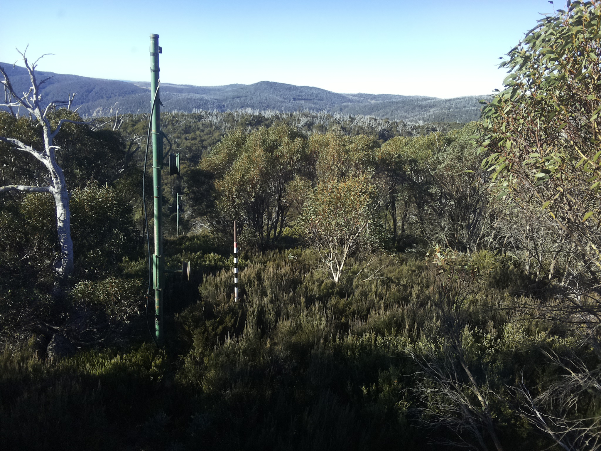 Bogong Web Cam 9:00am Saturday 10th of May 2025
