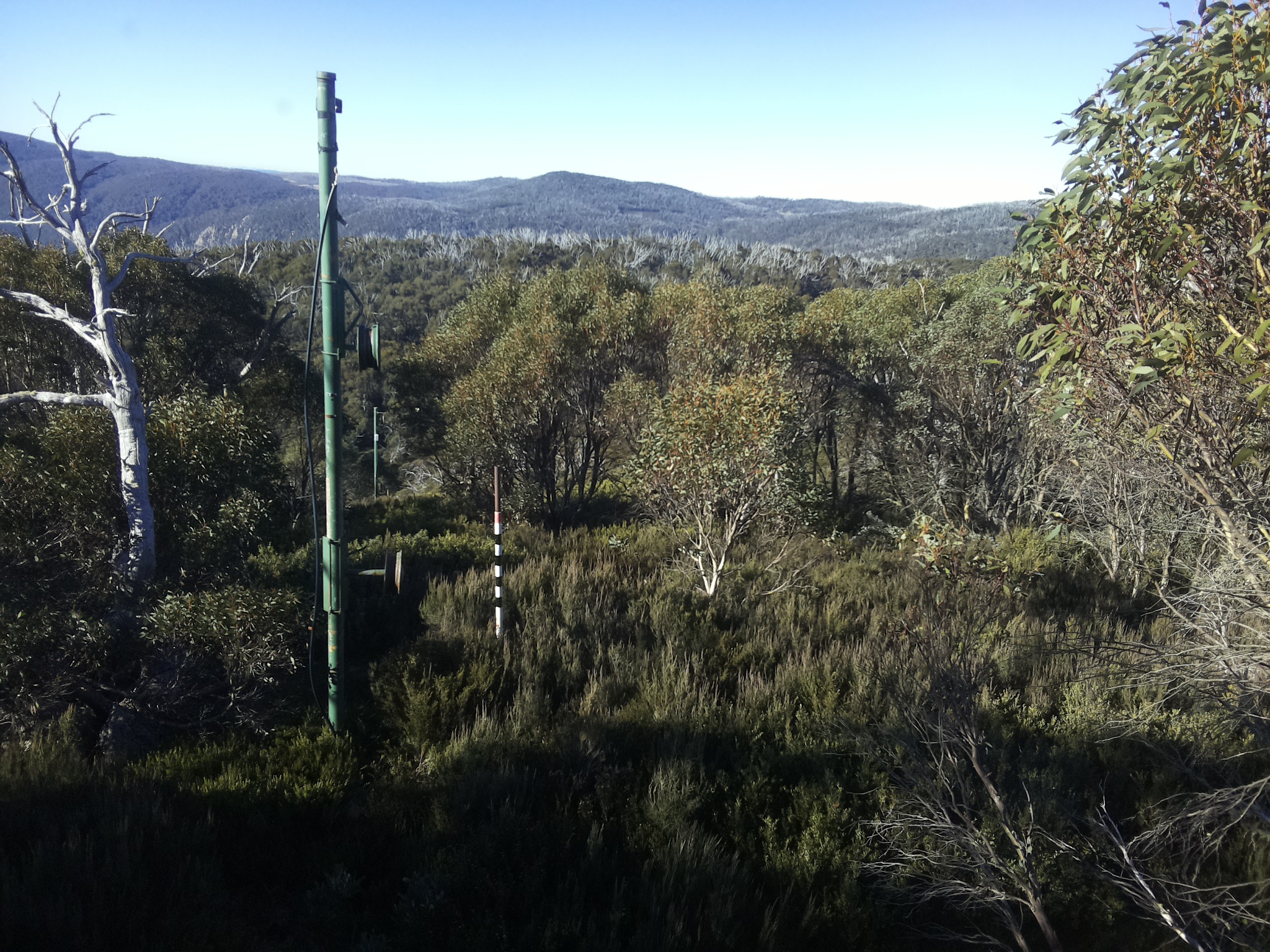 Bogong Web Cam 9:20am Saturday 10th of May 2025