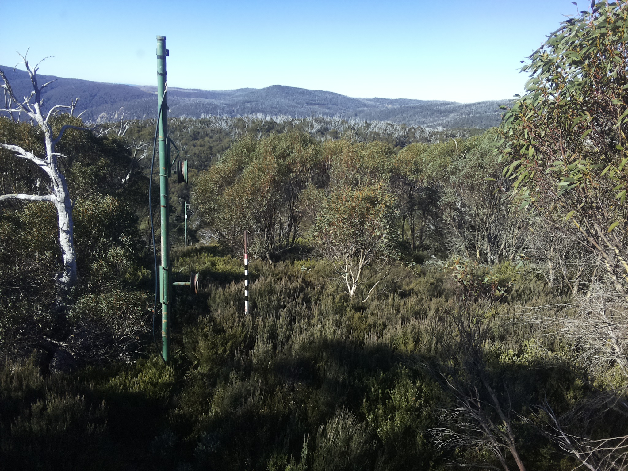 Bogong Web Cam 10:10am Saturday 10th of May 2025